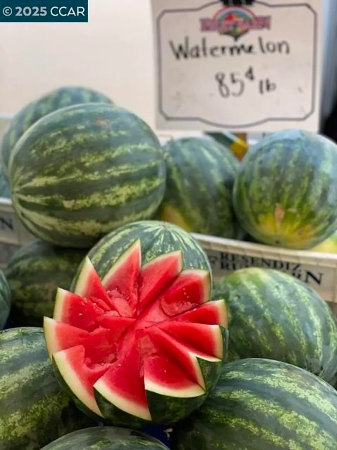 Property Slideshow image 48 of 48 | 2933 ptarmigan dr 3, Walnut Creek, CA, 94595