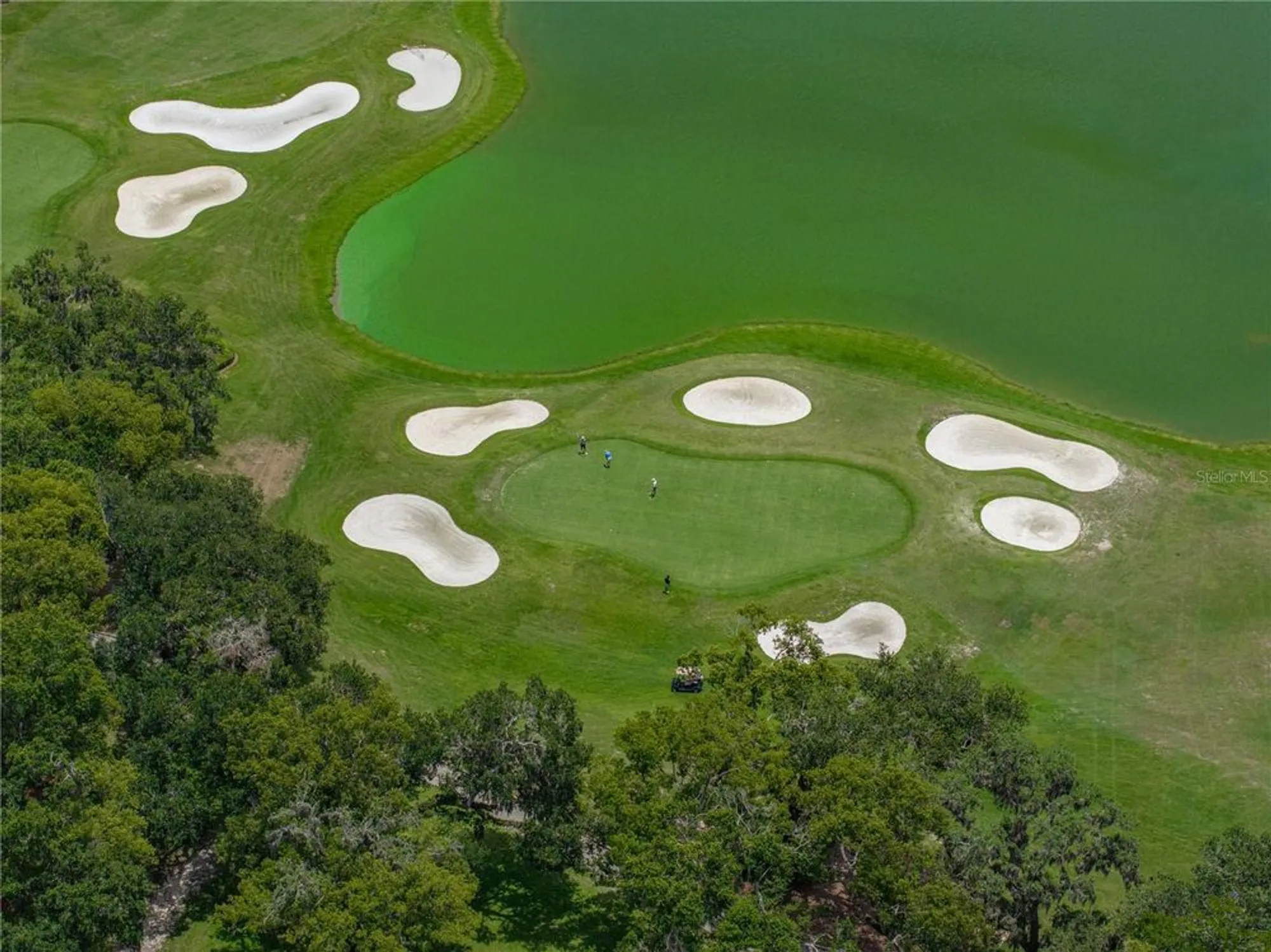 Property Slideshow image 92 of 100 | 13753 carryback dr, Dade City, FL, 33525