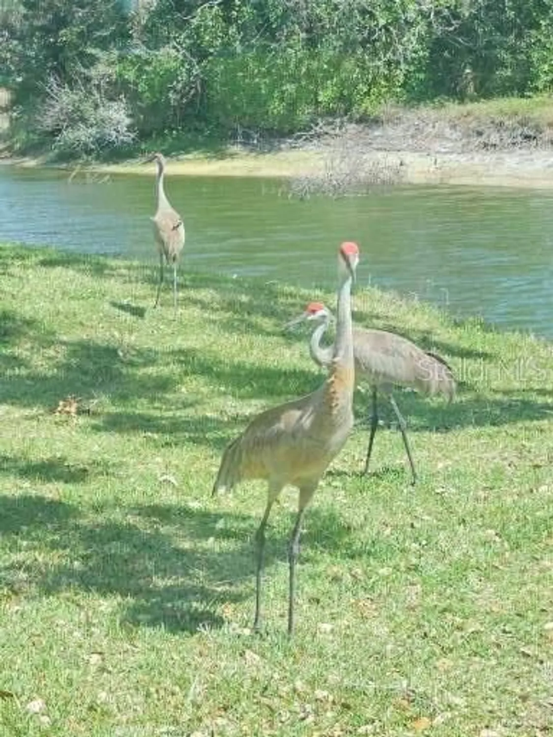 Property Slideshow image 57 of 95 | 7320 golf pointe cir, Sarasota, FL, 34243