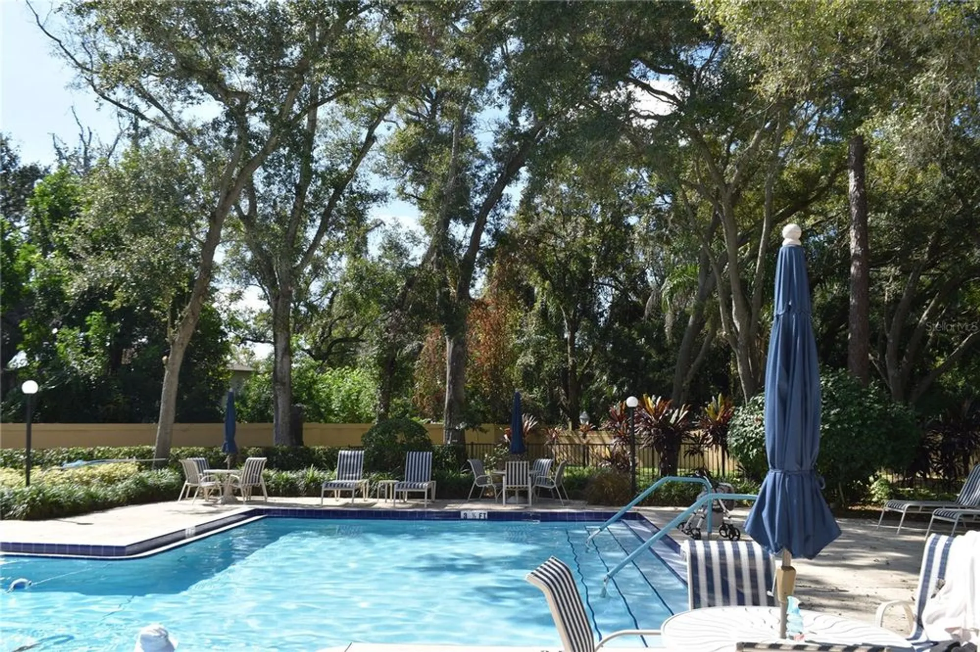Property Slideshow image 51 of 59 | 3062 eastland blvd # d206, Clearwater, FL, 33761