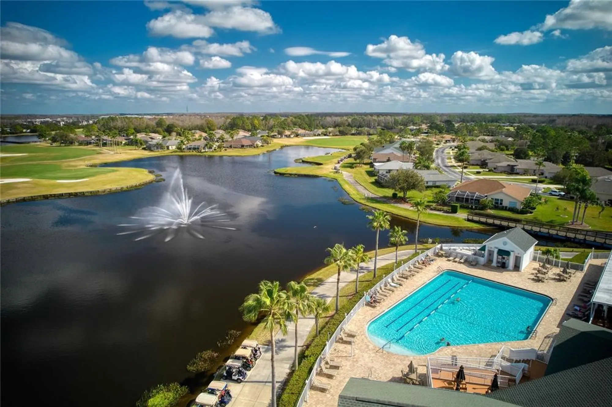 Property Slideshow image 34 of 46 | 1208 flora vista st, Trinity, FL, 34655