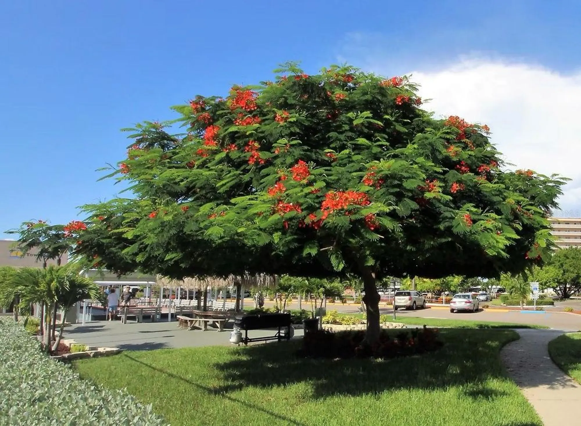 Property Slideshow image 22 of 39 | 6075 shore blvd 215, Gulfport, FL, 33707