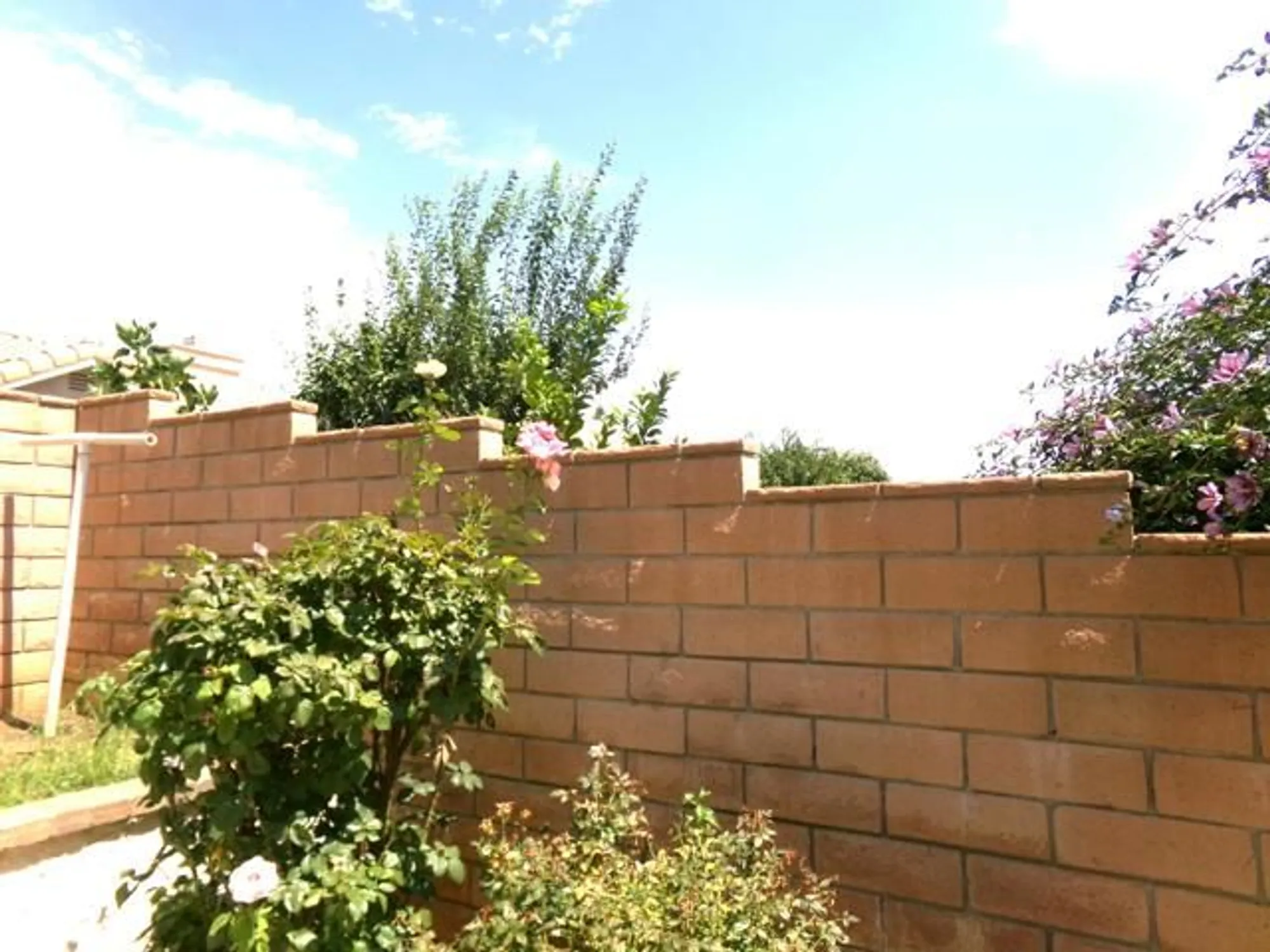 Property Slideshow image 22 of 29 | 4829 w forest oaks ave, Banning, CA, 92220