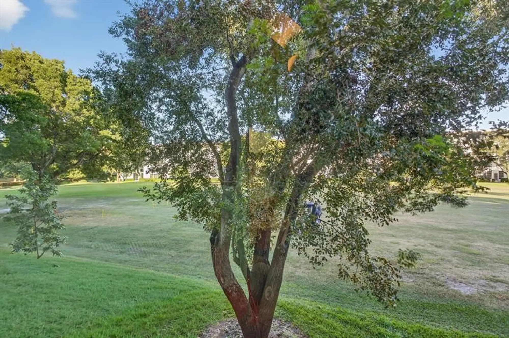 Property Slideshow image 39 of 83 | 3306 aruba way d2, Coconut Creek, FL, 33066