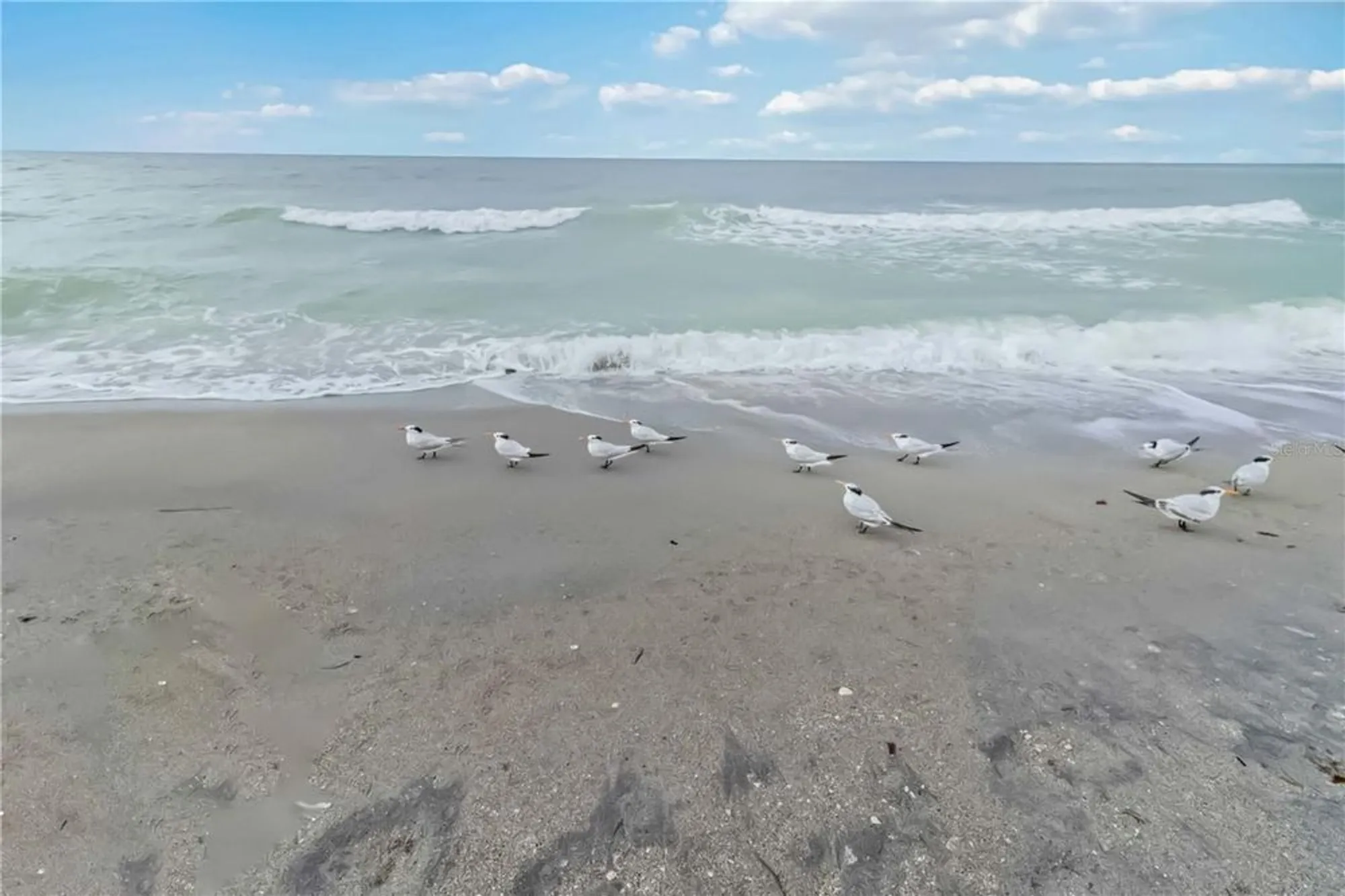 Property Slideshow image 55 of 73 | 25508 royal tern ln, Englewood, FL, 34223