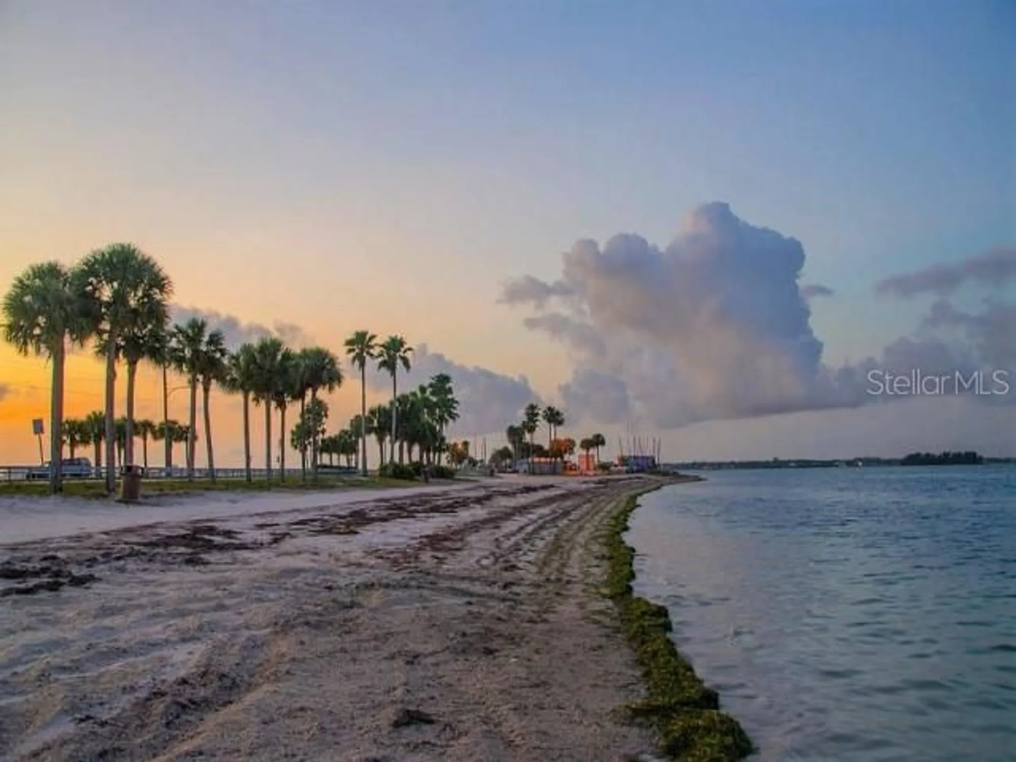 Property Slideshow image 80 of 84 | 1701 pinehurst rd apt 24b, Dunedin, FL, 34698