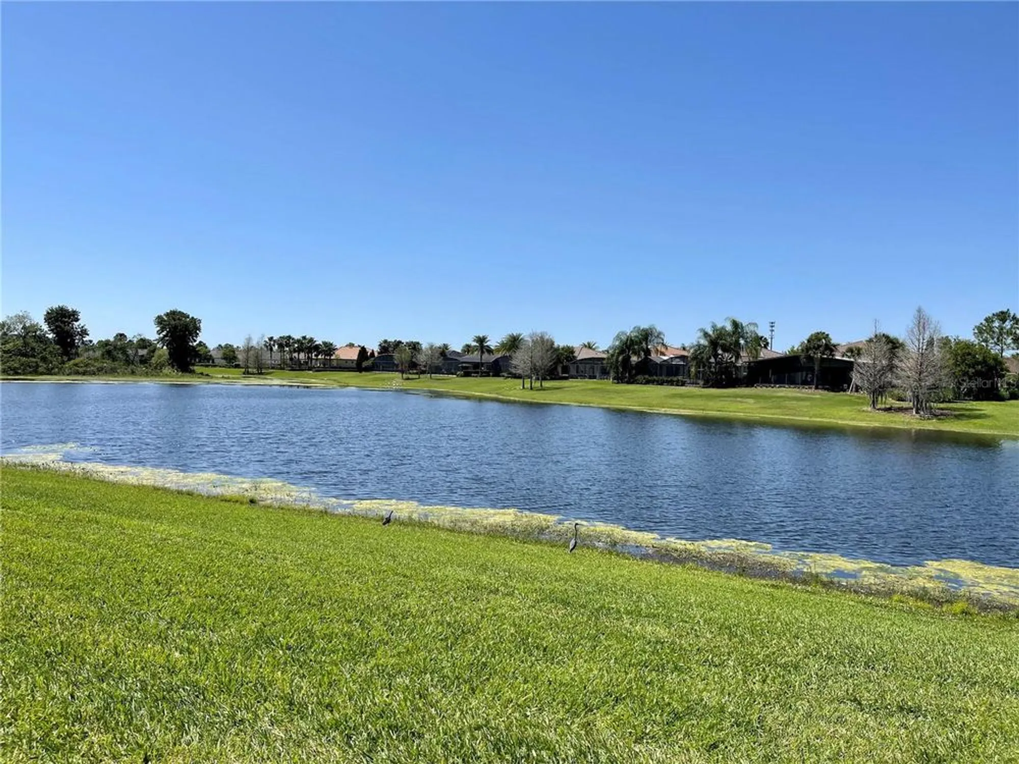 Property Slideshow image 48 of 49 | 205 bell tower xing, Poinciana, FL, 34759