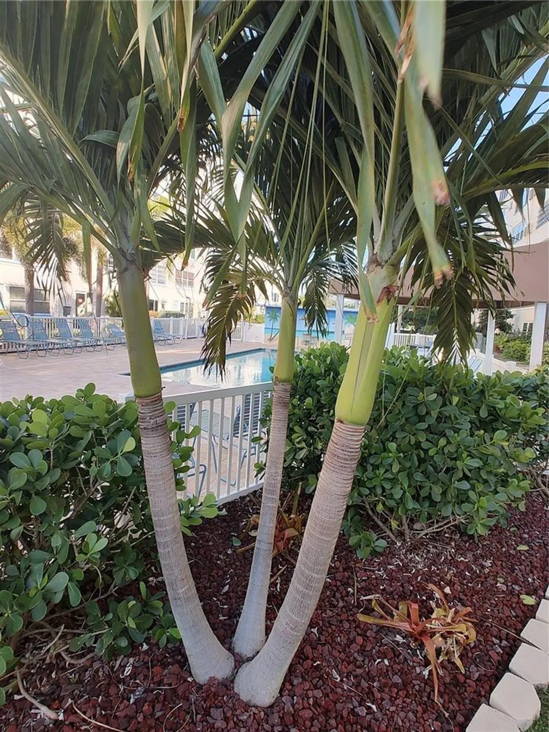 Property Slideshow image 19 of 24 | 2960 59th st 107, Gulfport, FL, 33707