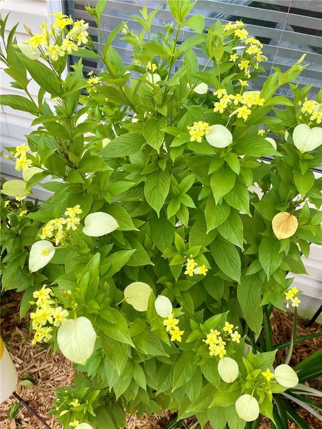 Property Slideshow image 33 of 45 | 17694 se 84th peyton ct, The Villages, FL, 32162