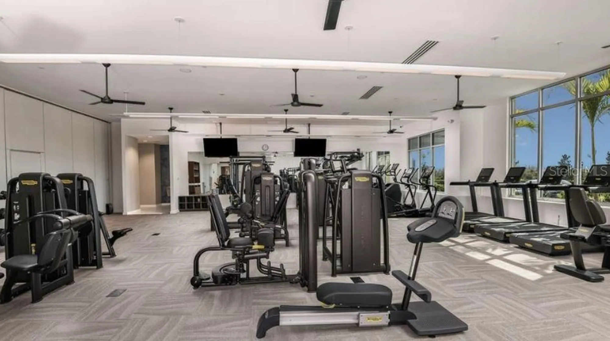 Property Slideshow image 18 of 22 | 29536 zupetta ln, Wesley Chapel, FL, 33543