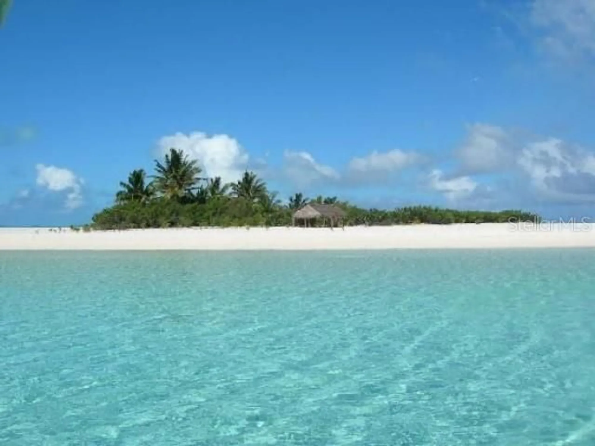 Property Slideshow image 79 of 84 | 1701 pinehurst rd apt 24b, Dunedin, FL, 34698