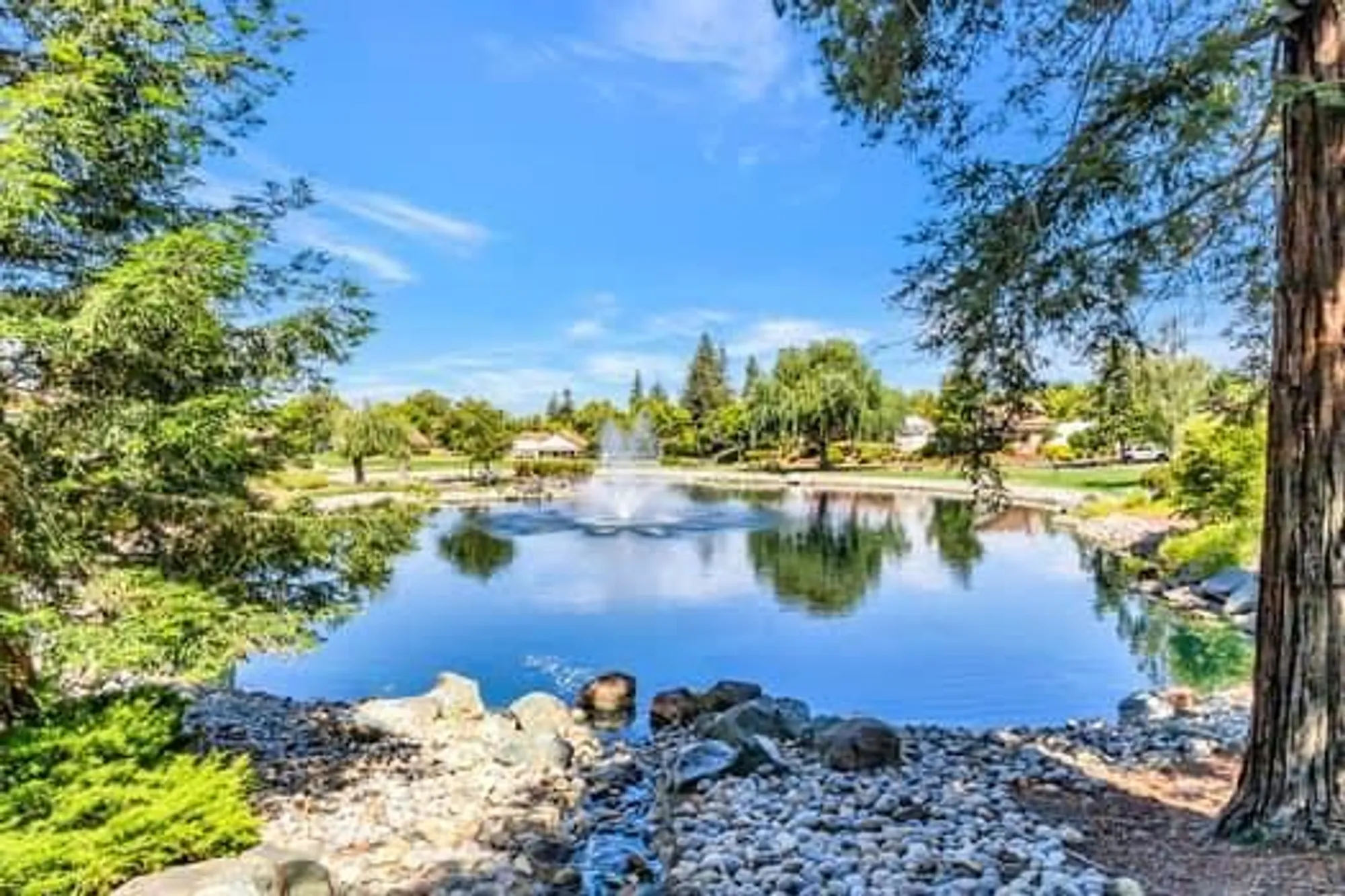 Property Slideshow image 24 of 39 | 8411 chenin blanc ln, San Jose, CA, 95135