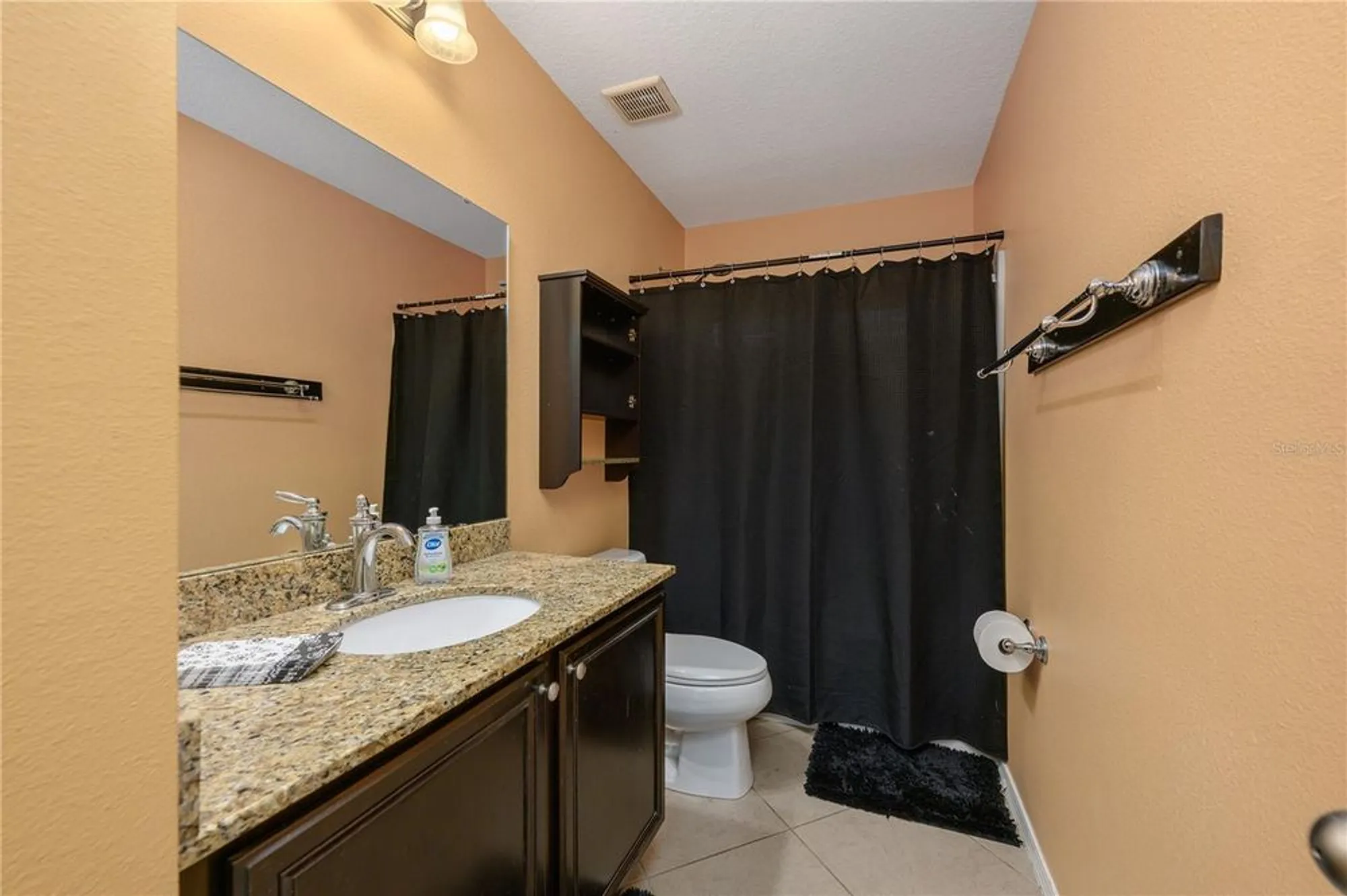 Property Slideshow image 36 of 45 | 30304 cheval st, Mount Dora, FL, 32757