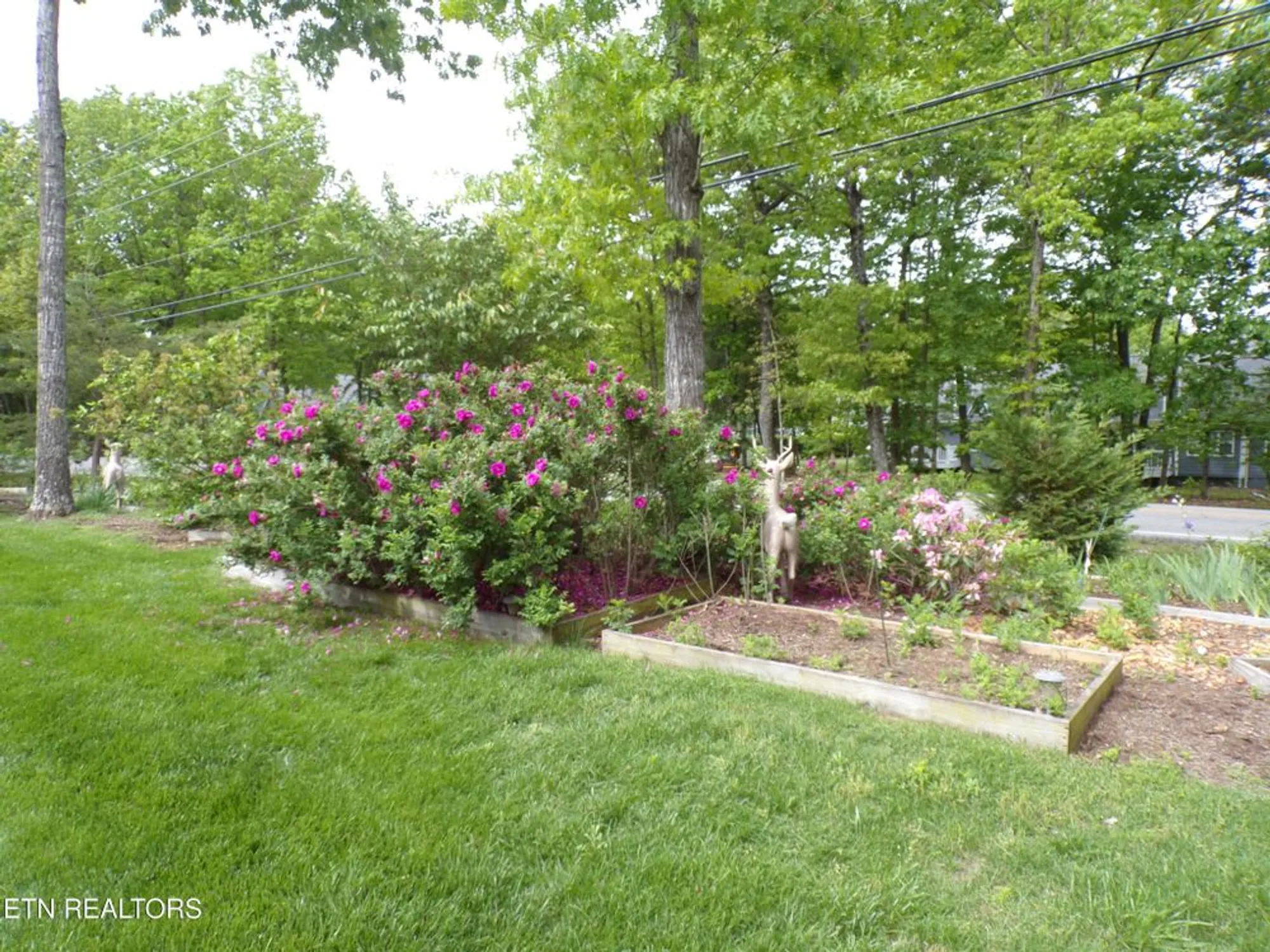 Property Slideshow image 35 of 40 | 116 huntington dr, Crossville, TN, 38558