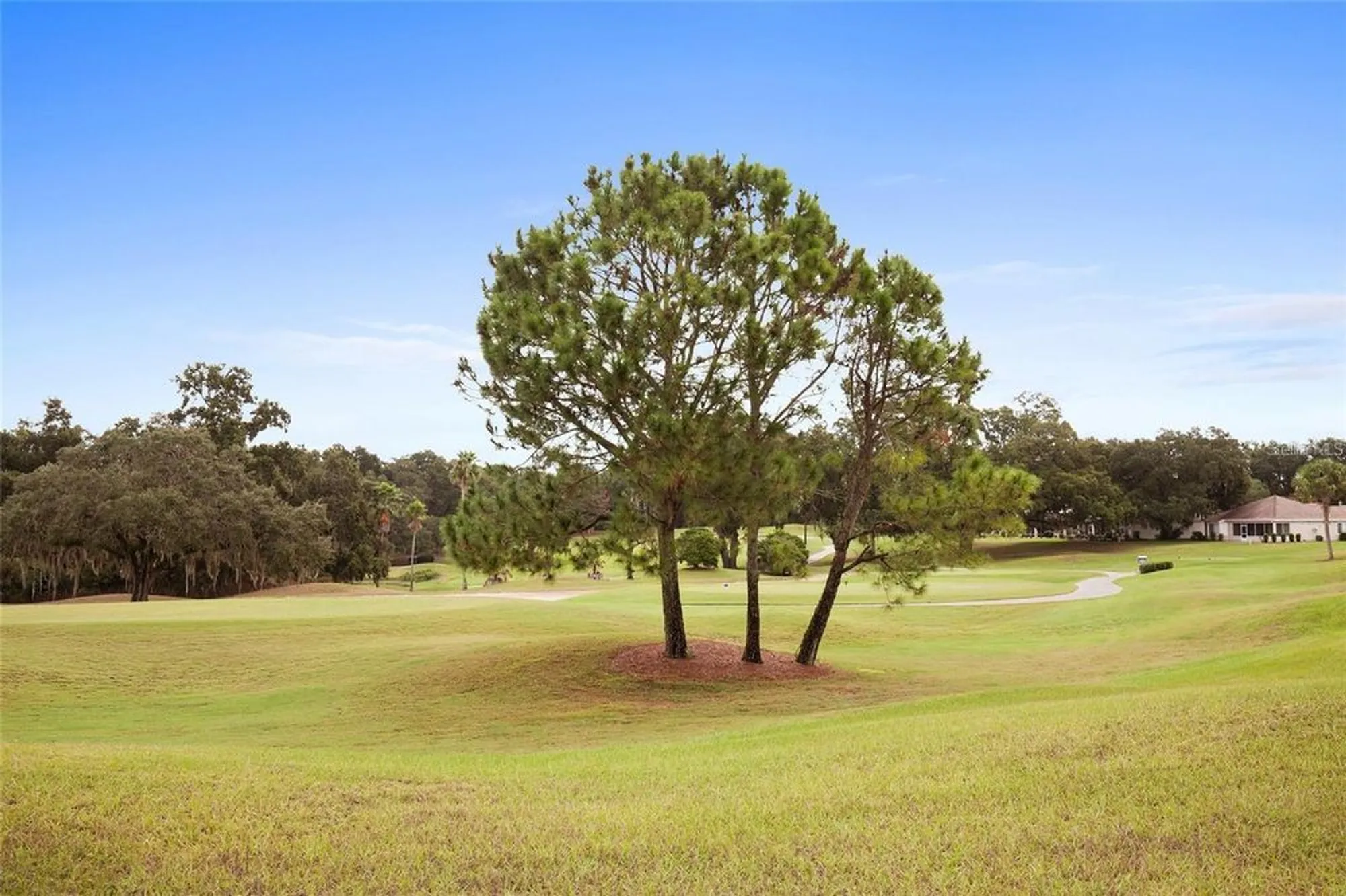 Property Slideshow image 59 of 77 | 12896 se 91st terrace rd, Summerfield, FL, 34491