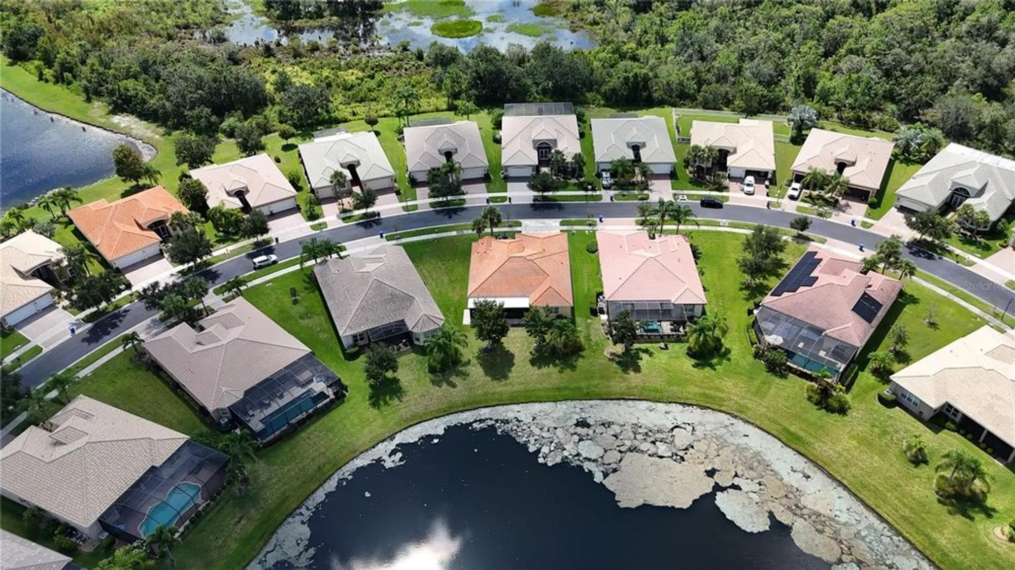Property Slideshow image 60 of 74 | 16244 diamond bay dr, Wimauma, FL, 33598