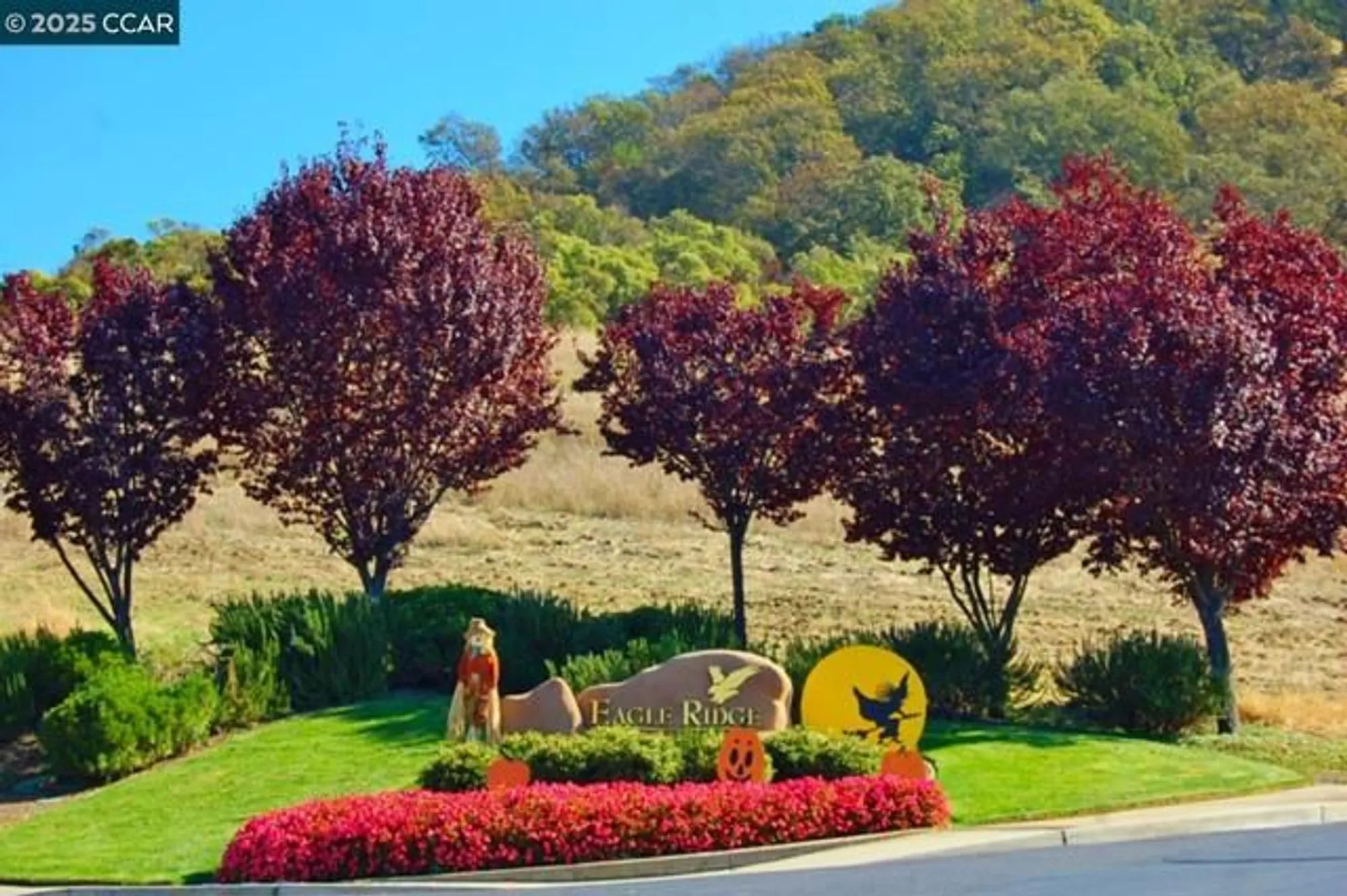 Property Slideshow image 53 of 60 | 1332 canyonwood ct apt 2, Walnut Creek, CA, 94595