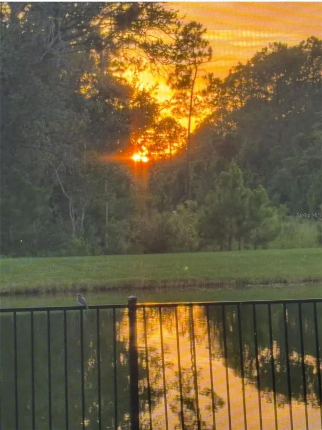 Property Slideshow image 32 of 32 | 236 caryota ct, New Smyrna Beach, FL, 32168