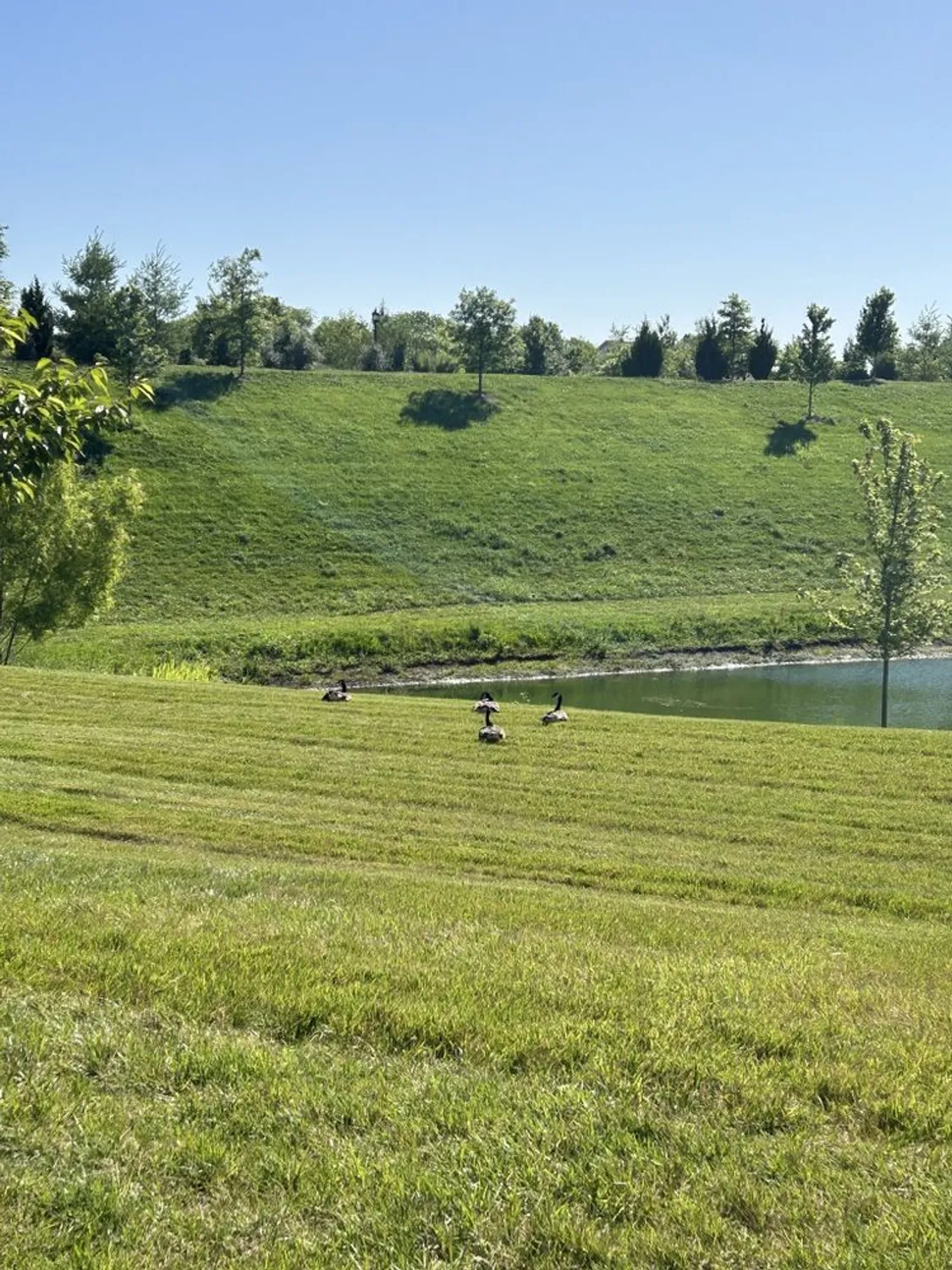 Property Slideshow image 3 of 61 | 1331 madison ln, Spring Hill, TN, 37174