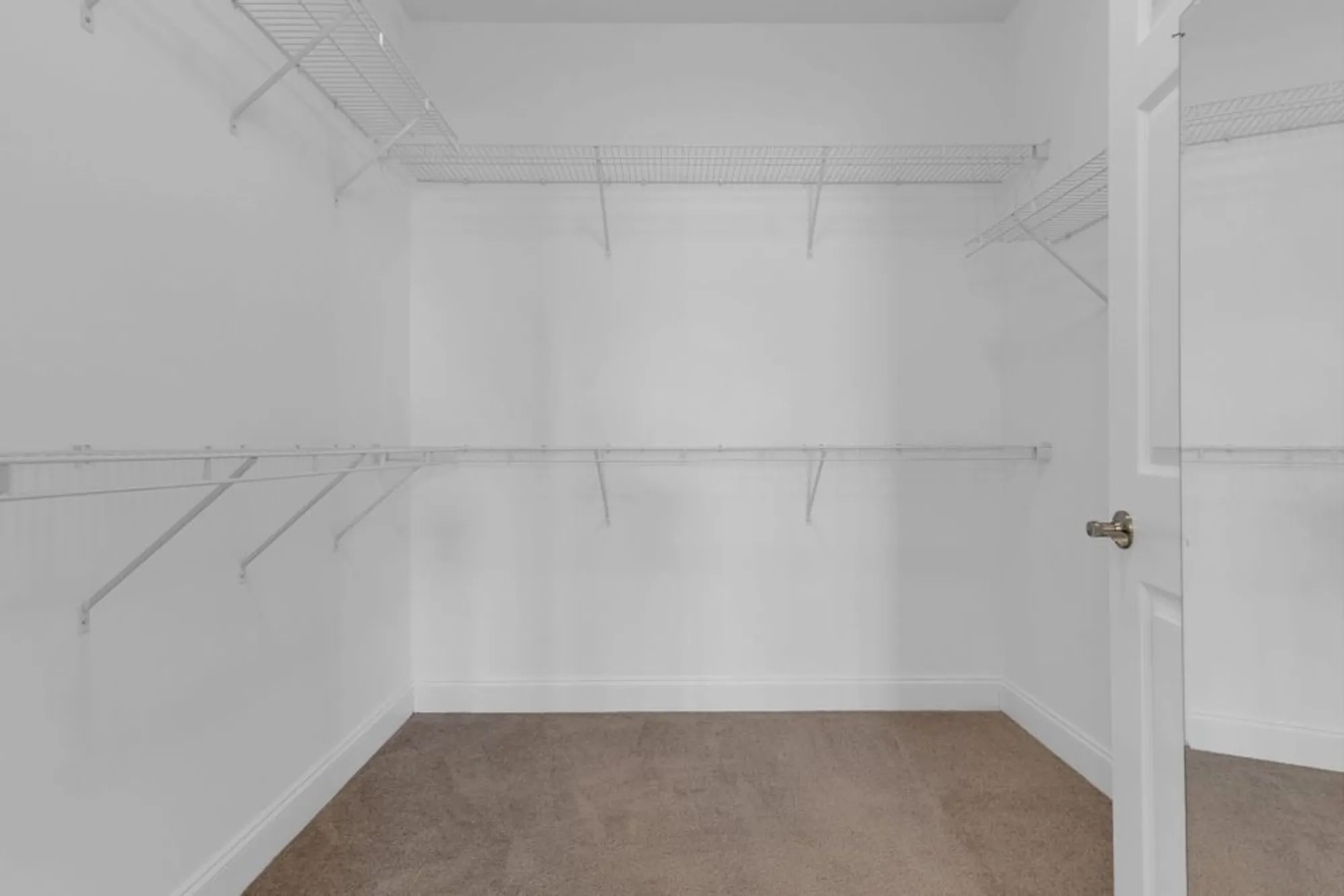 Property Slideshow image 21 of 41 | 244 siegert pl, Nolensville, TN, 37135