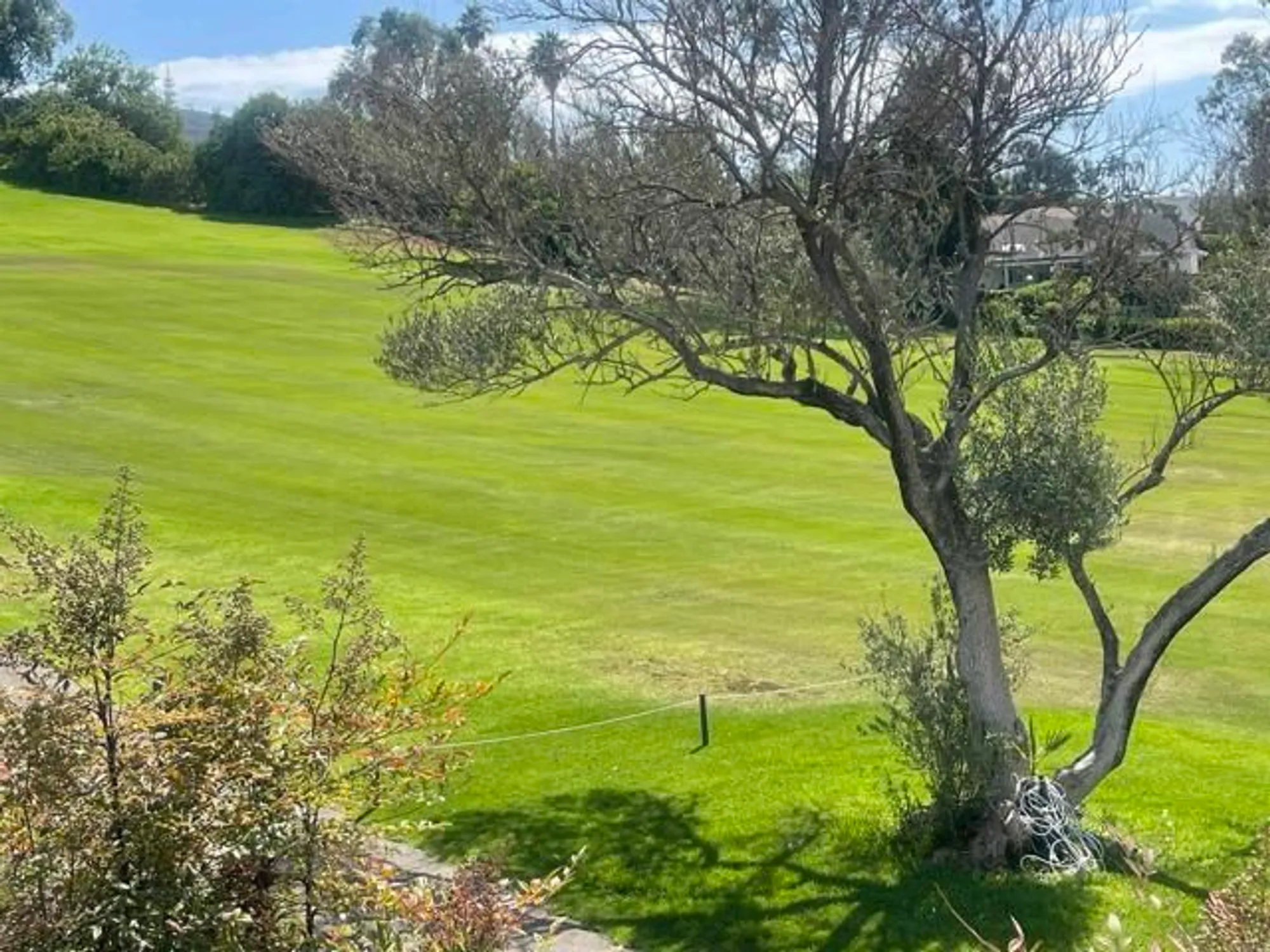 Property Slideshow image 5 of 59 | 1054 la sombra dr, San Marcos, CA, 92078