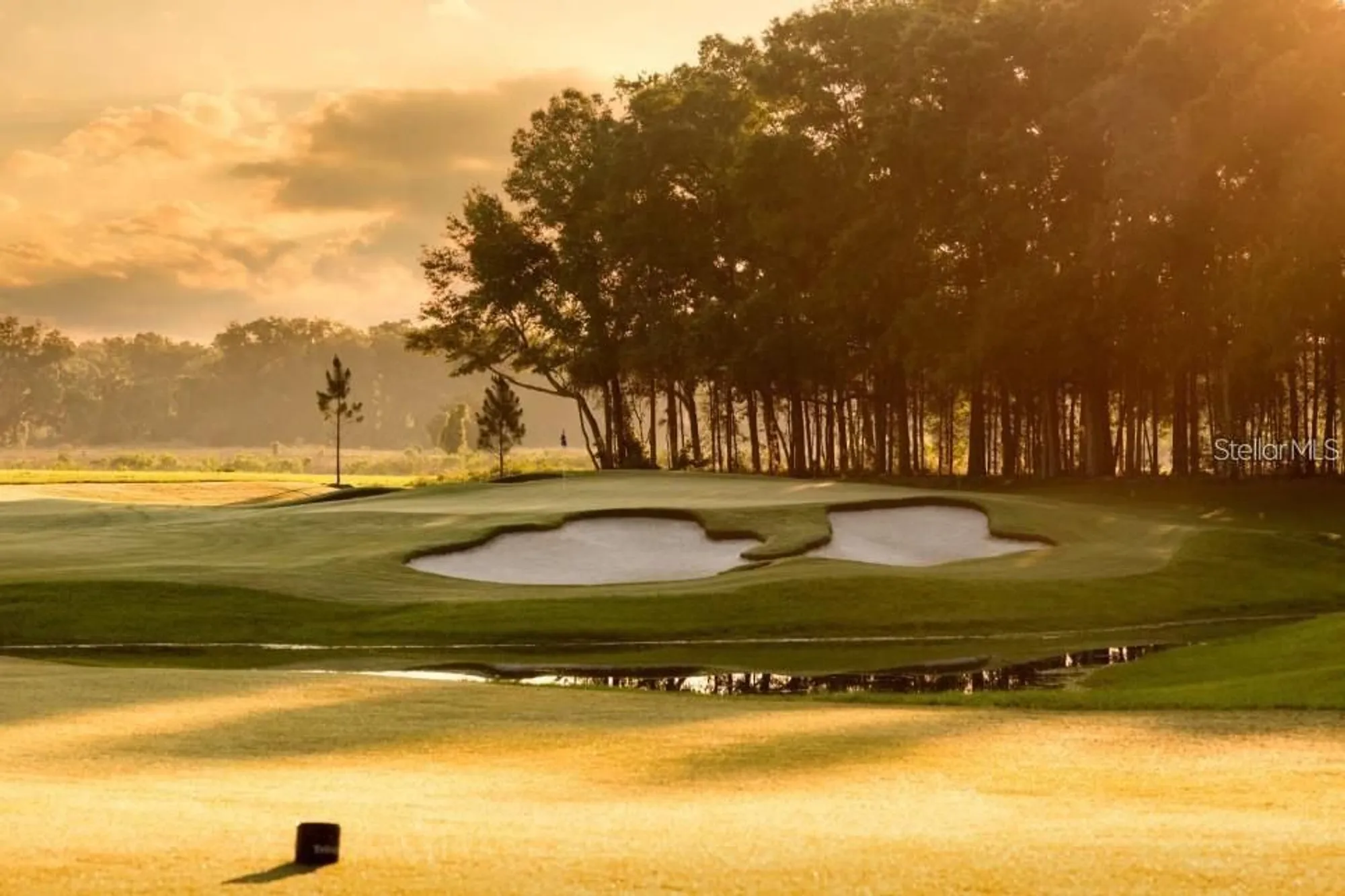 Property Slideshow image 37 of 49 | 4701 nw 51st terrace rd, Ocala, FL, 34482