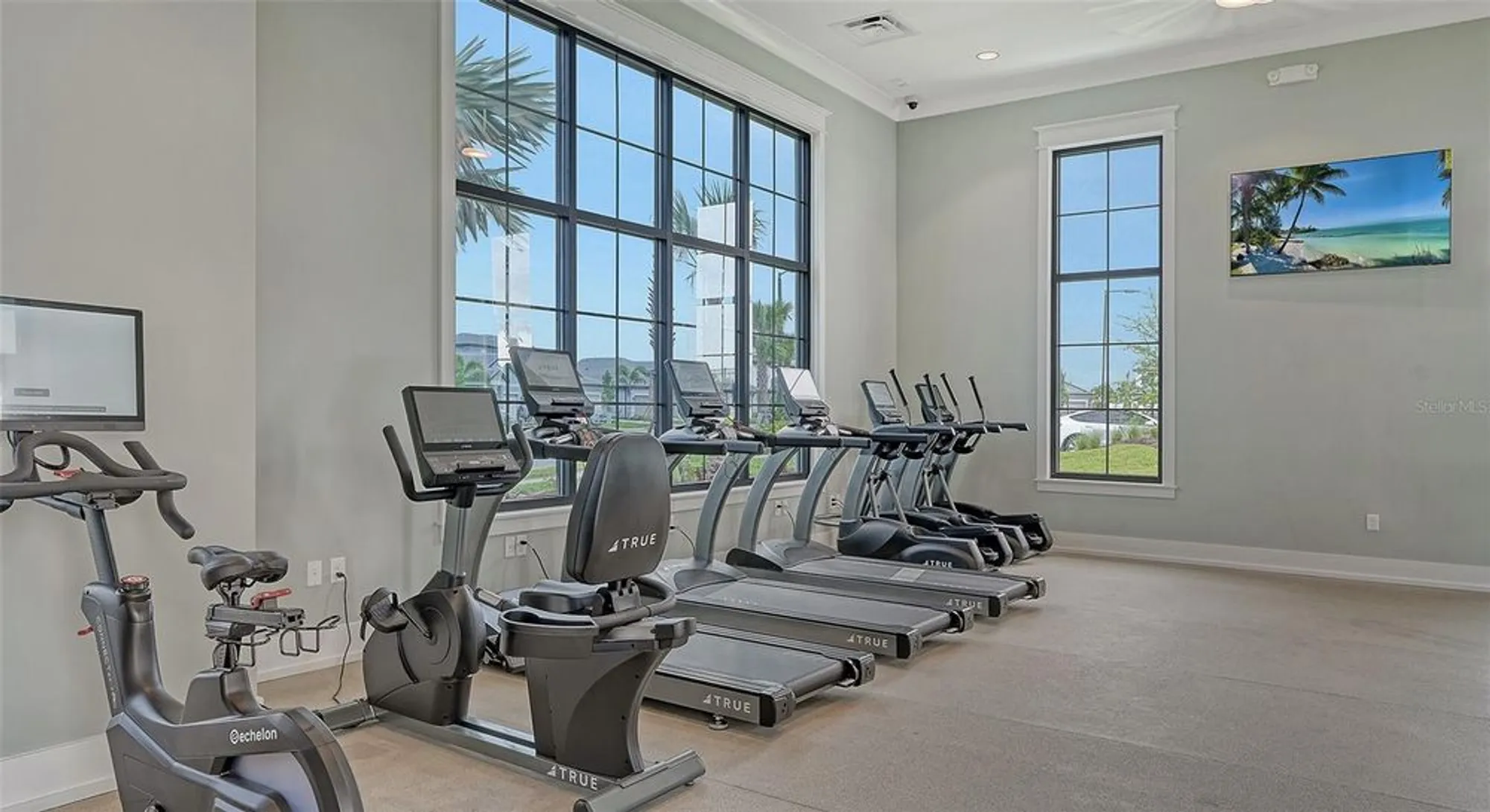 Property Slideshow image 60 of 78 | 17744 savory mist cir, Lakewood Ranch, FL, 34211