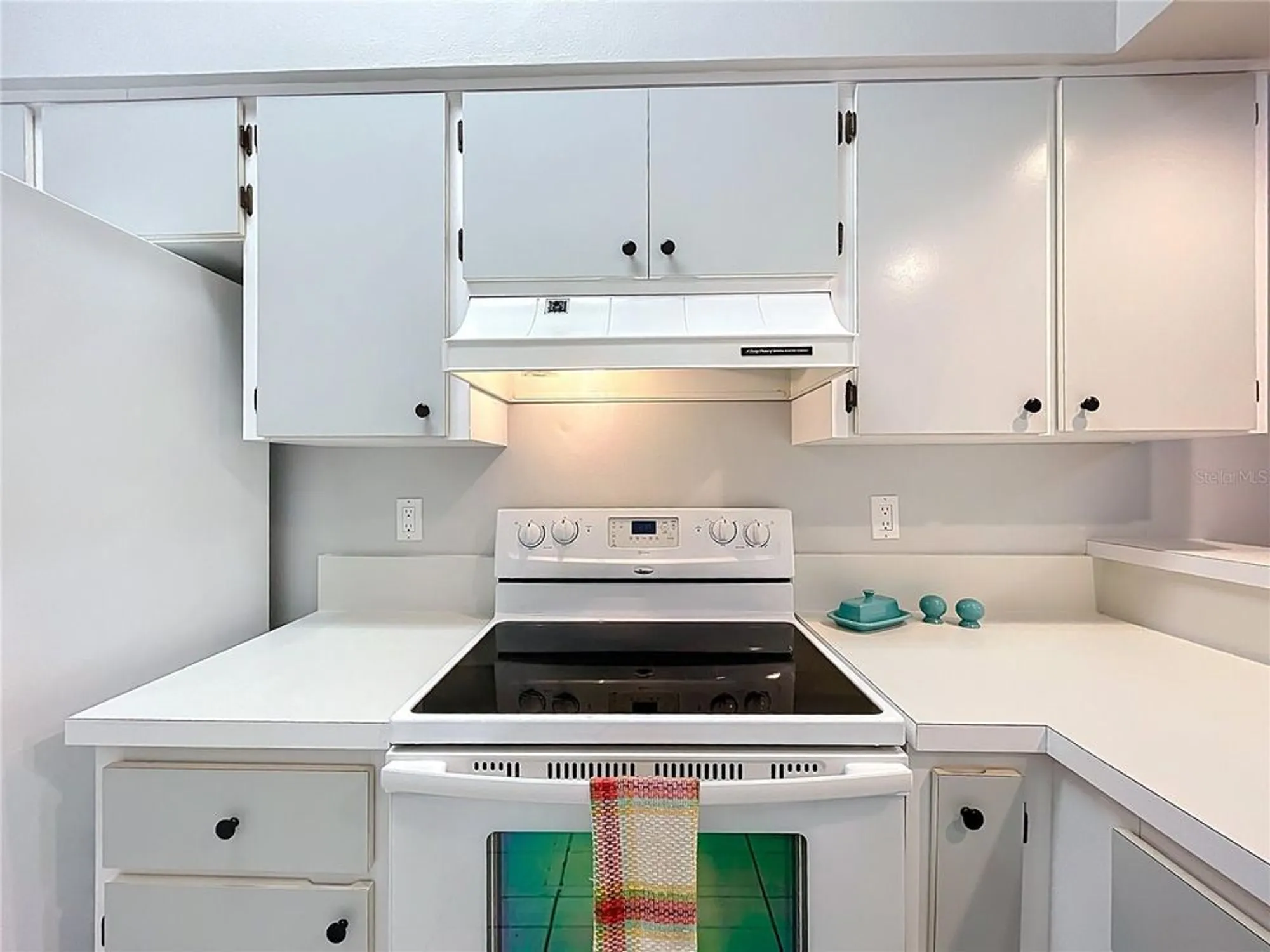 Property Slideshow image 11 of 55 | 5530 rosewall cir, Leesburg, FL, 34748