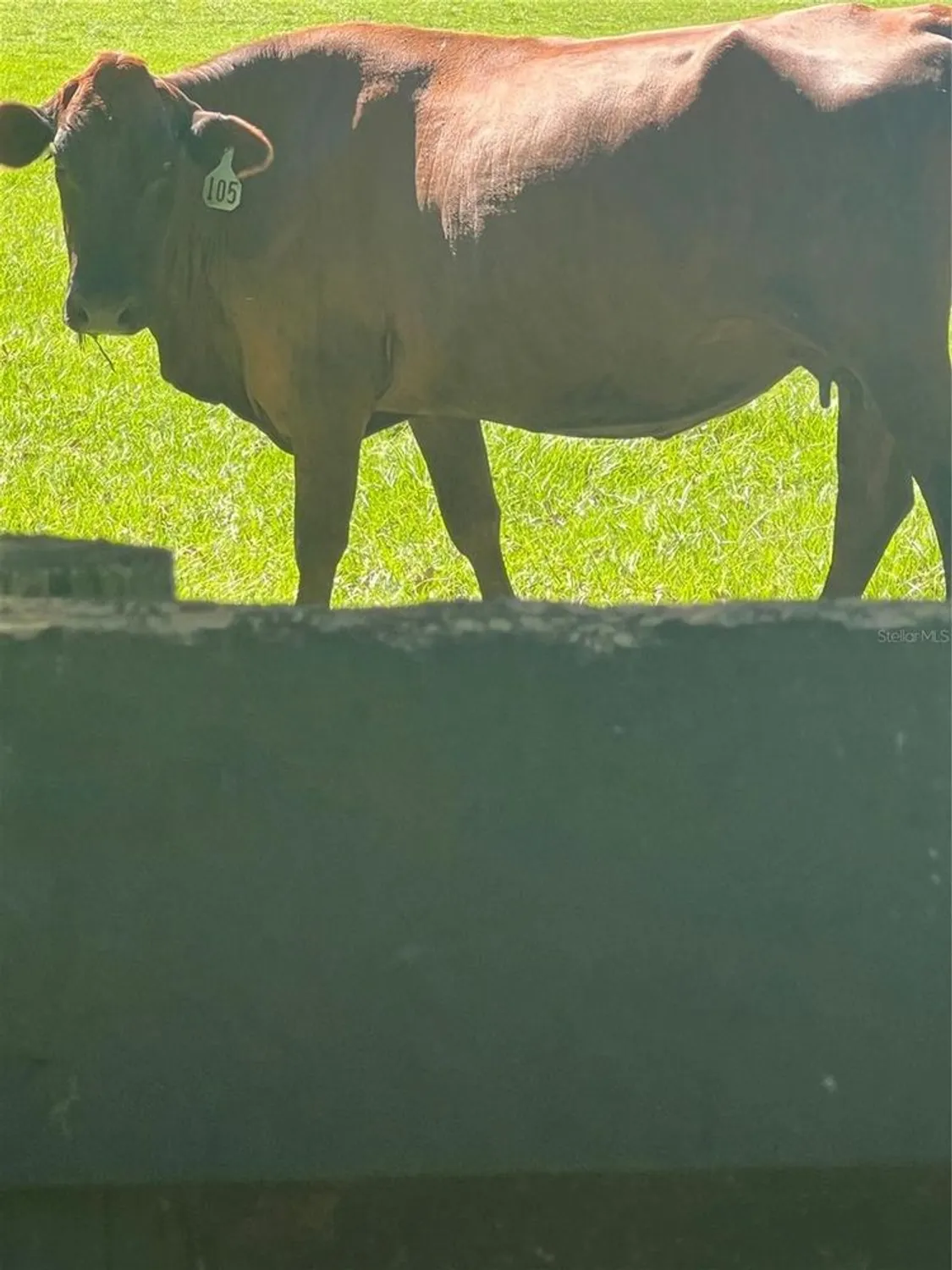 Property Slideshow image 60 of 61 | 17453 se 76th flintlock ter, The Villages, FL, 32162