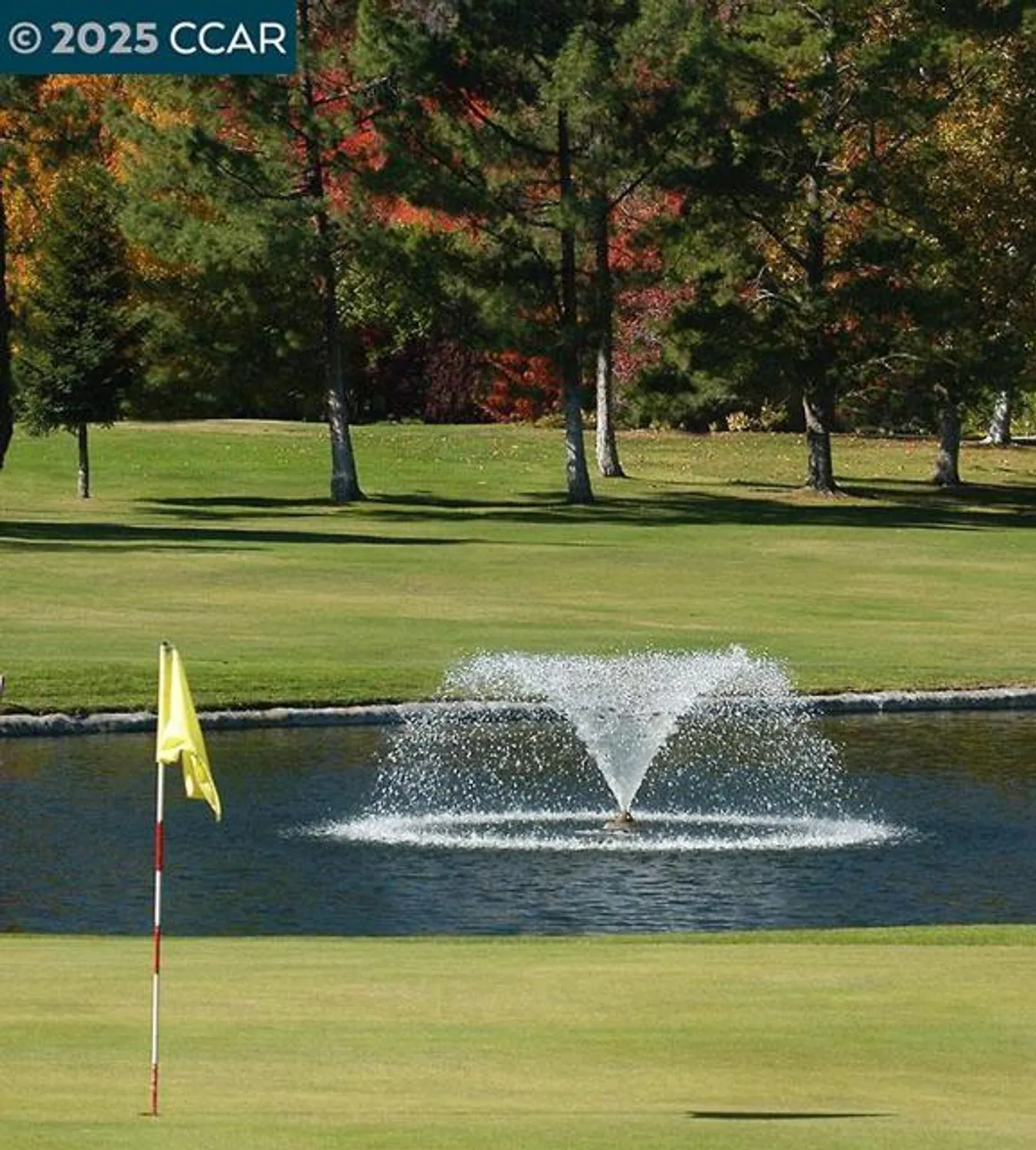 Property Slideshow image 46 of 57 | 2200 pine knoll dr 11, Walnut Creek, CA, 94595