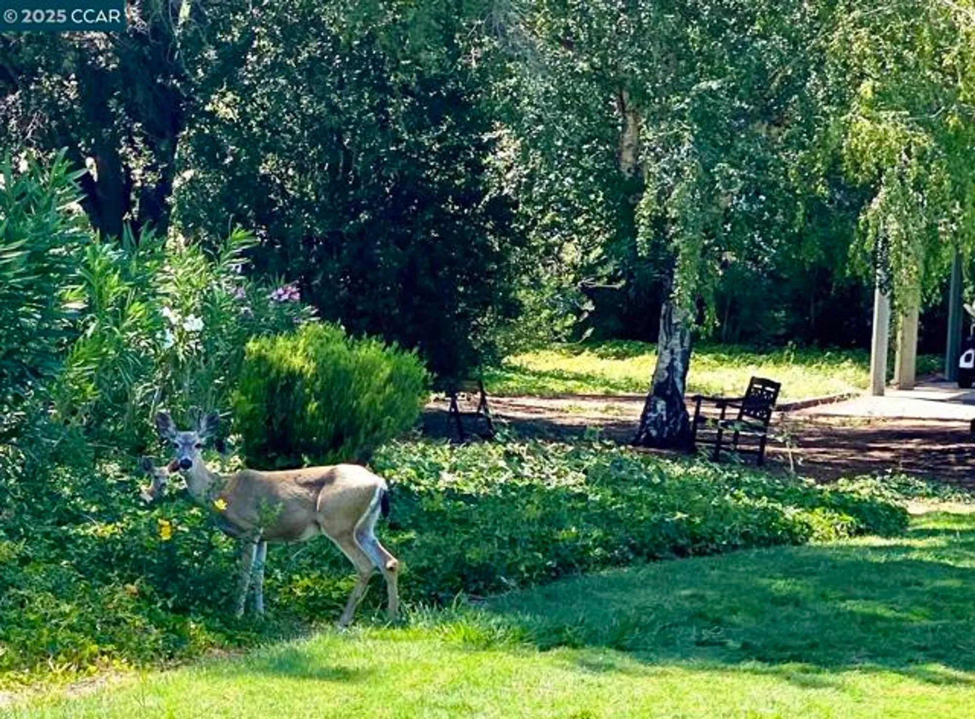 Property Slideshow image 50 of 57 | 2200 pine knoll dr 11, Walnut Creek, CA, 94595