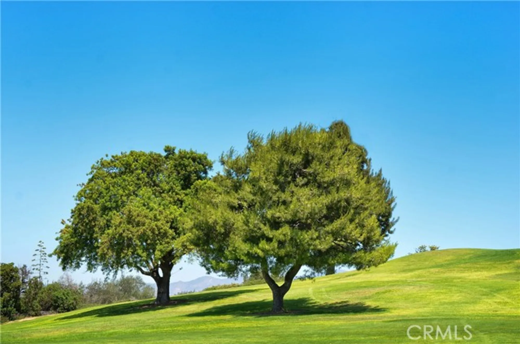 Property Slideshow image 27 of 44 | 2276 via o, Laguna Woods, CA, 92637