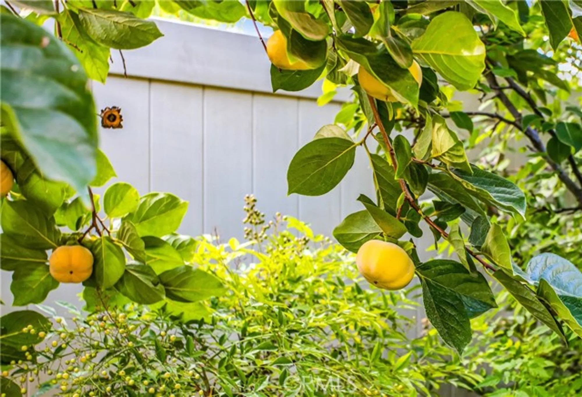 Property Slideshow image 22 of 26 | 1763 brittney rd, Beaumont, CA, 92223