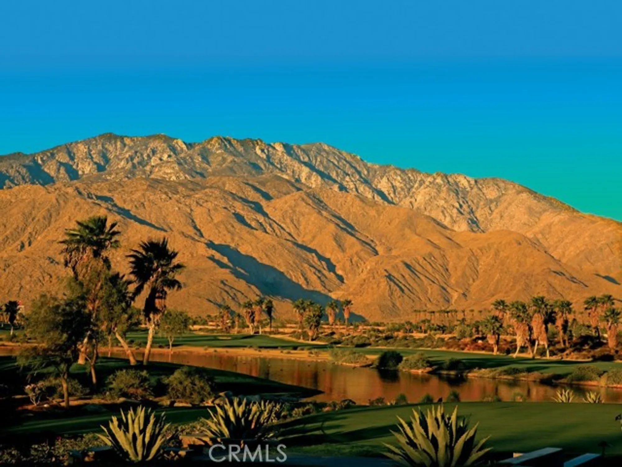 Property Slideshow image 2 of 3 | 1377 celadon st, Palm Springs, CA, 92262