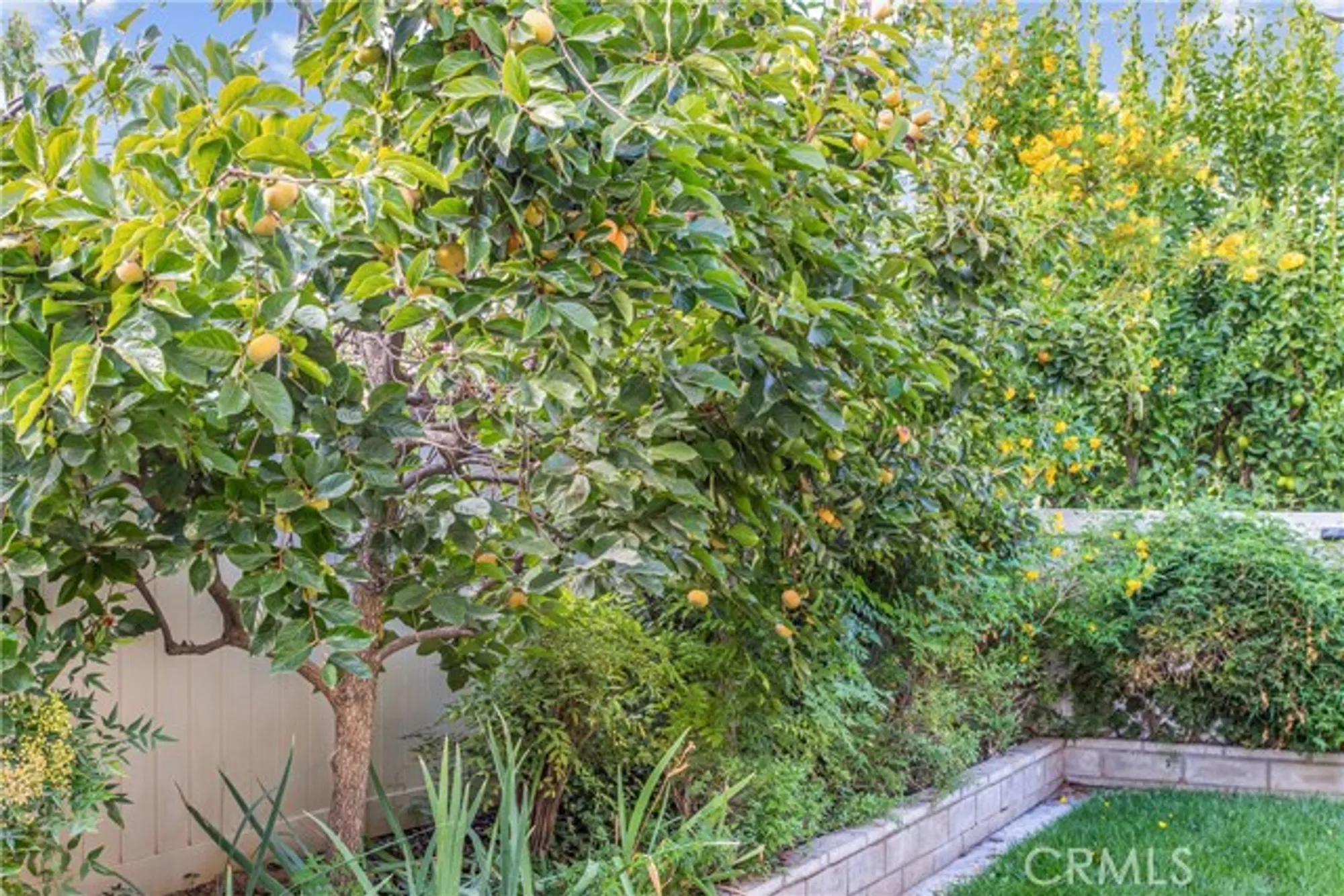 Property Slideshow image 23 of 26 | 1763 brittney rd, Beaumont, CA, 92223