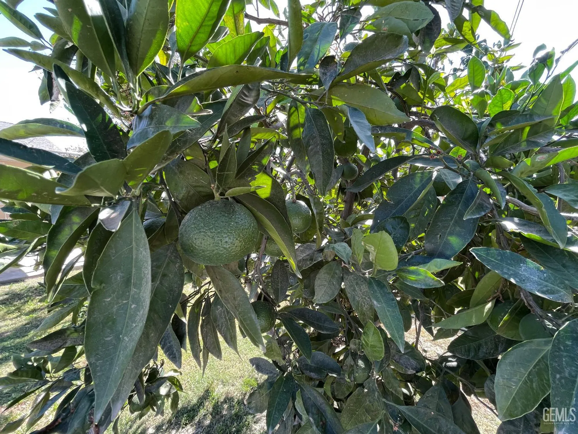 Property Slideshow image 38 of 44 | 917 cherry hills dr, Bakersfield, CA, 93309