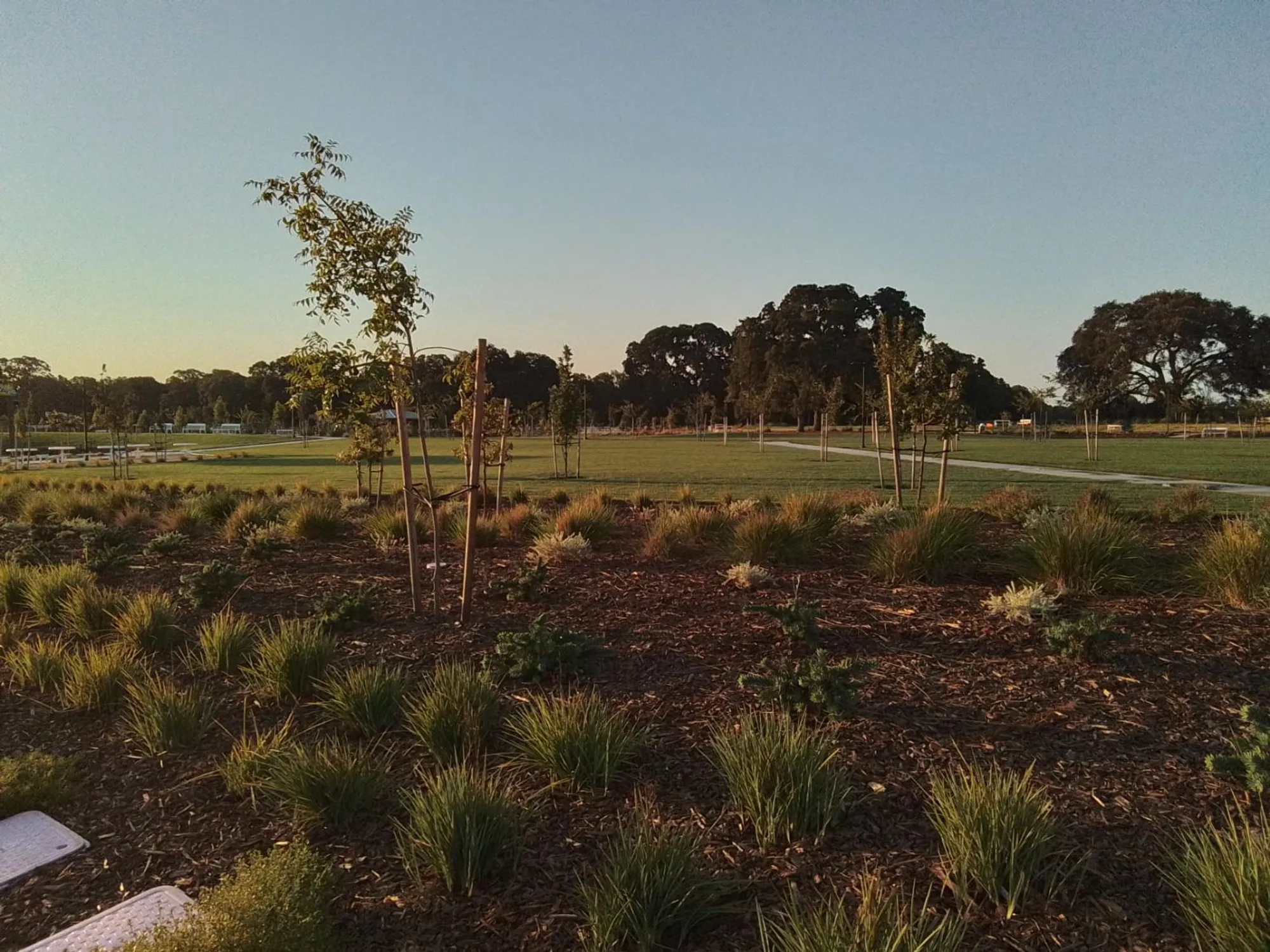 Property Slideshow image 48 of 53 | 8305 evans tree dr, Roseville, CA, 95747