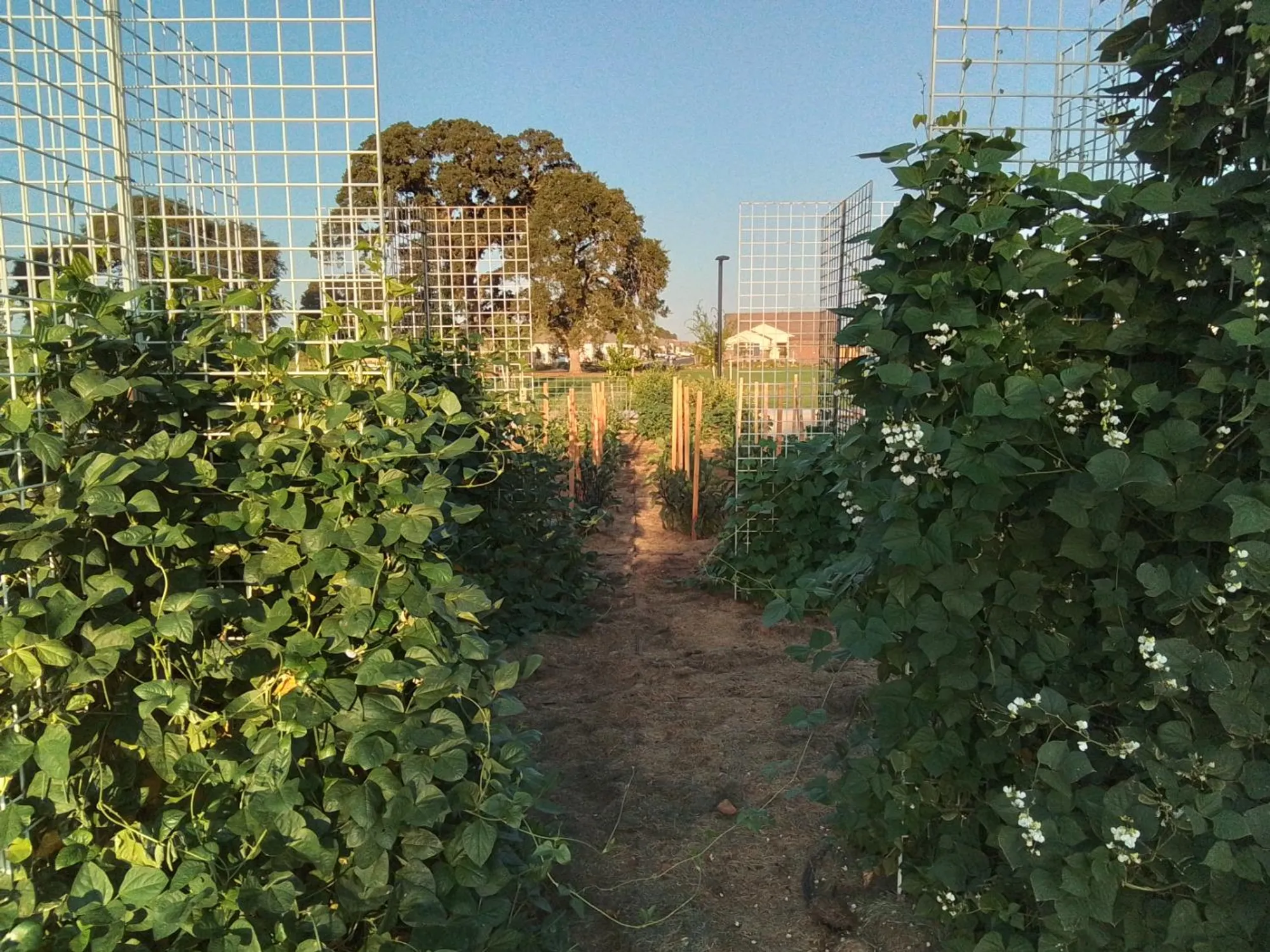 Property Slideshow image 45 of 53 | 8305 evans tree dr, Roseville, CA, 95747