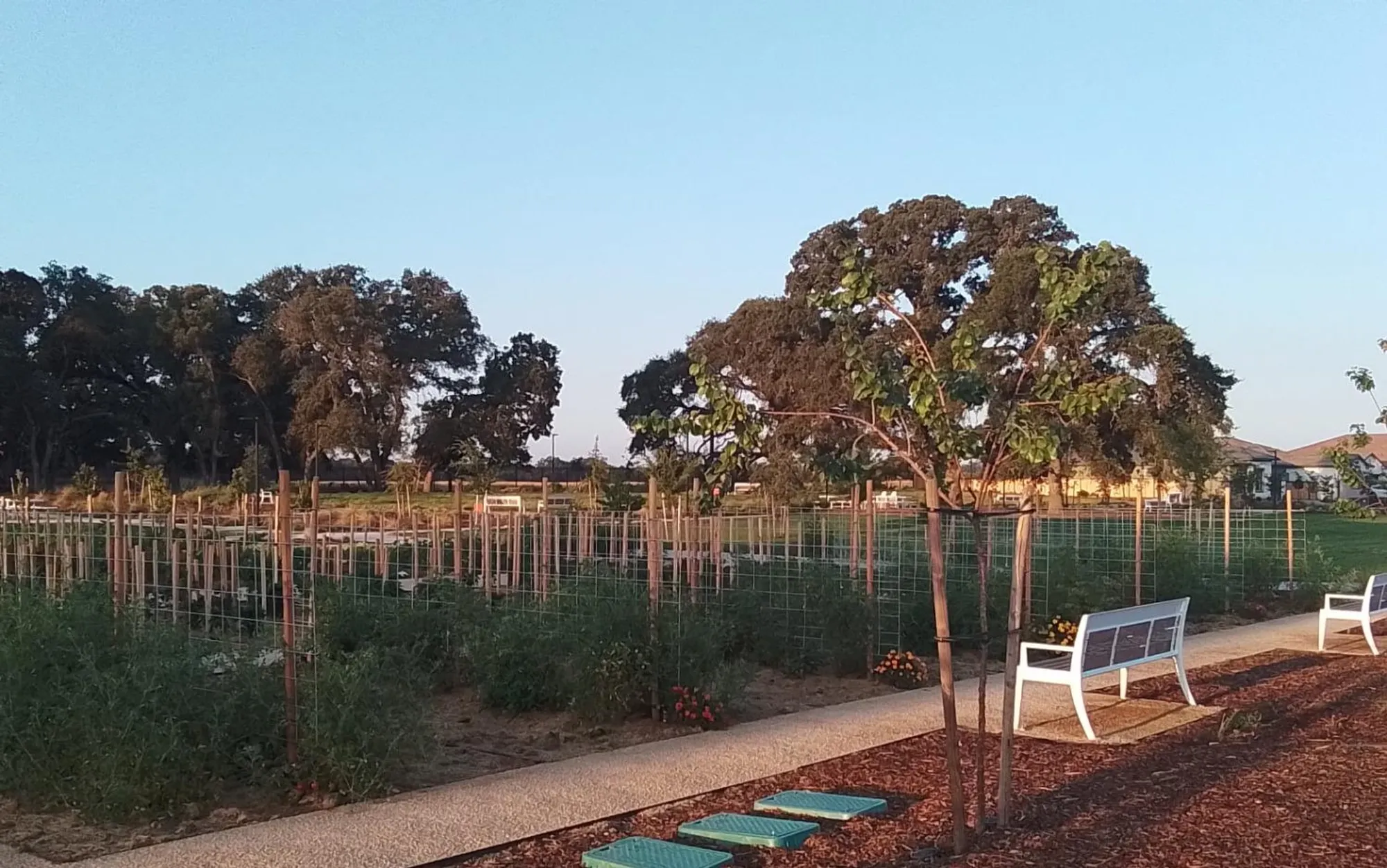 Property Slideshow image 43 of 53 | 8305 evans tree dr, Roseville, CA, 95747