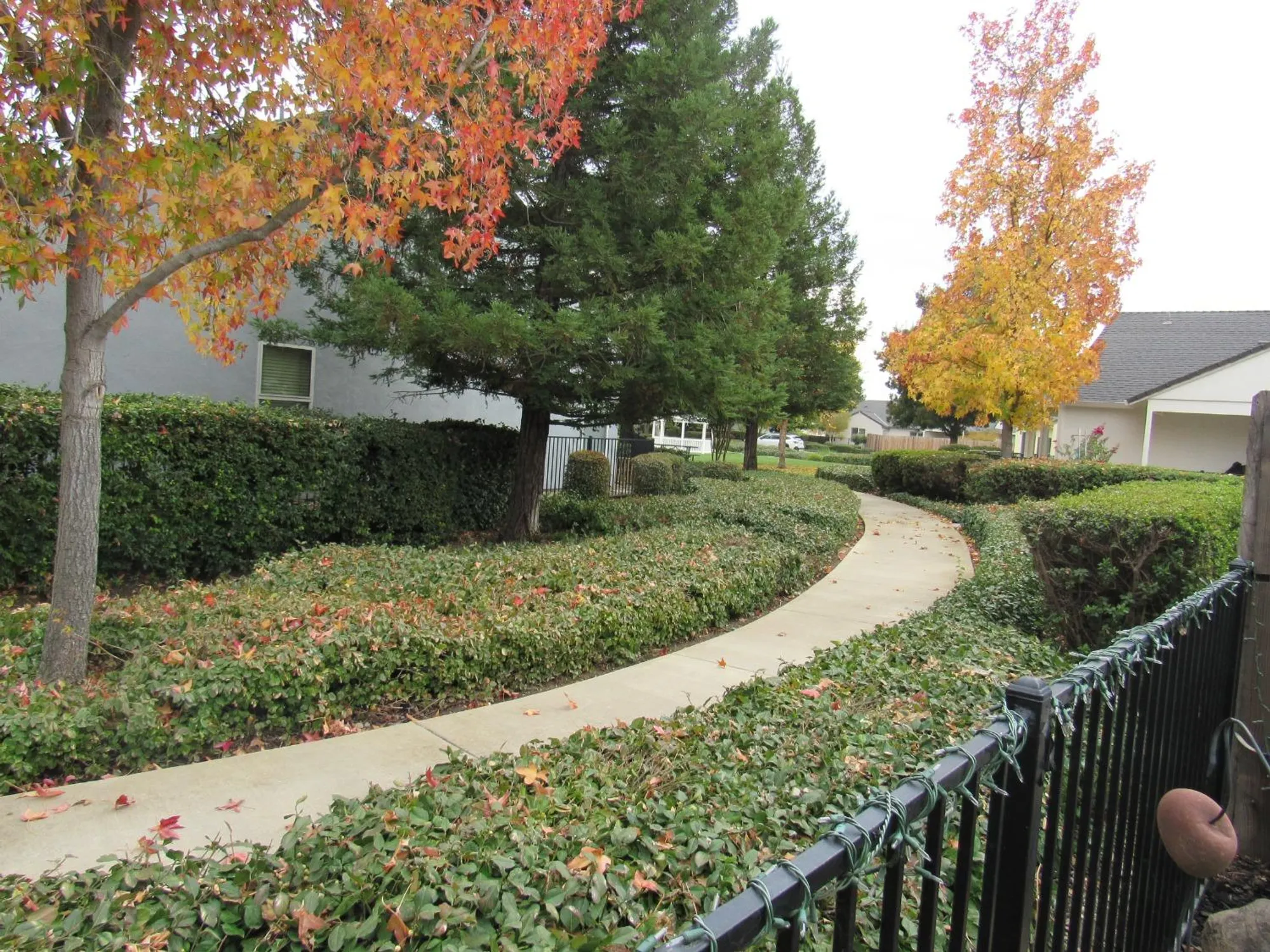 Property Slideshow image 23 of 43 | 677 village dr, Galt, CA, 95632