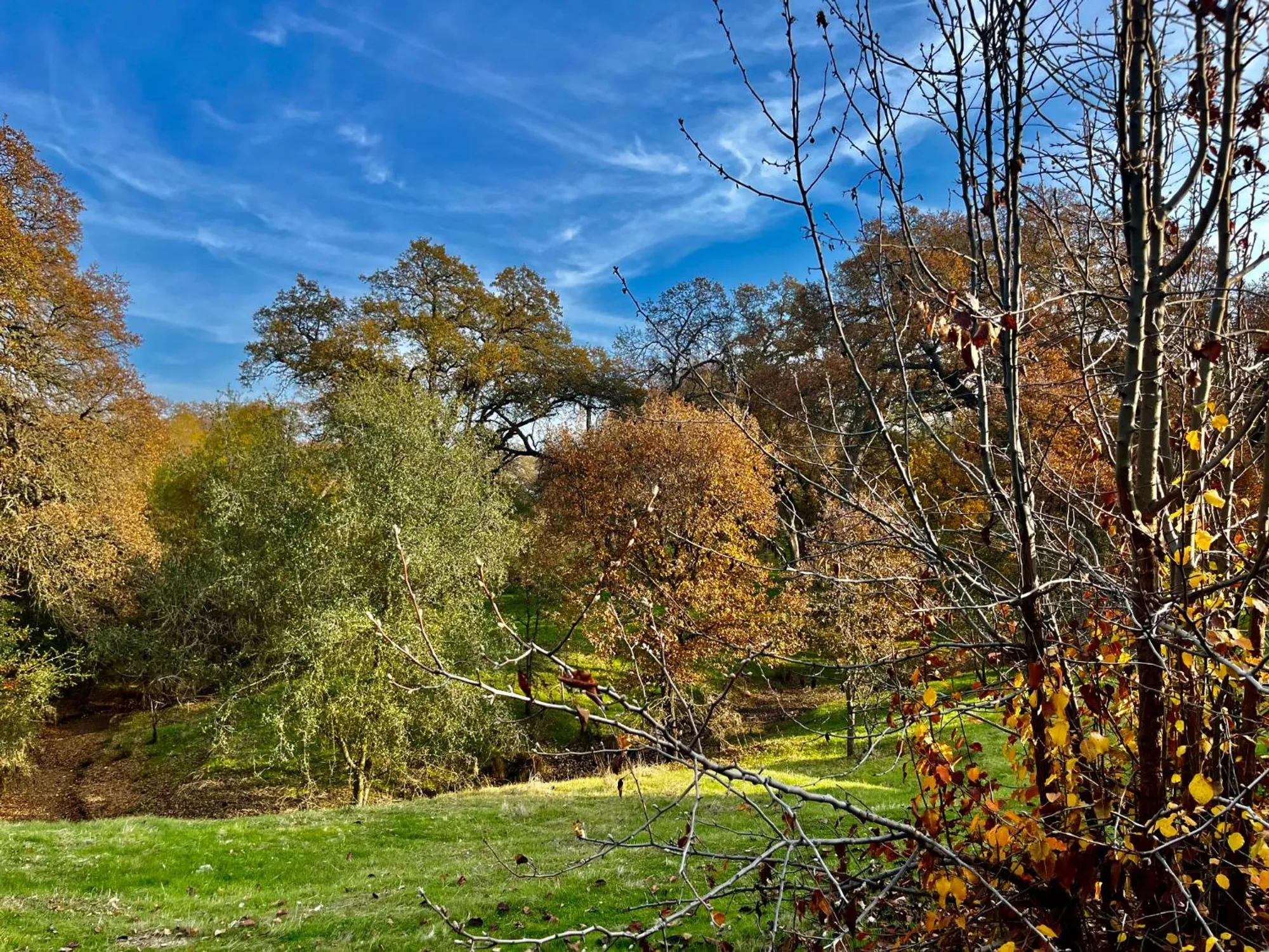 Property Slideshow image 25 of 26 | 320 whisperlodge ct, Roseville, CA, 95747