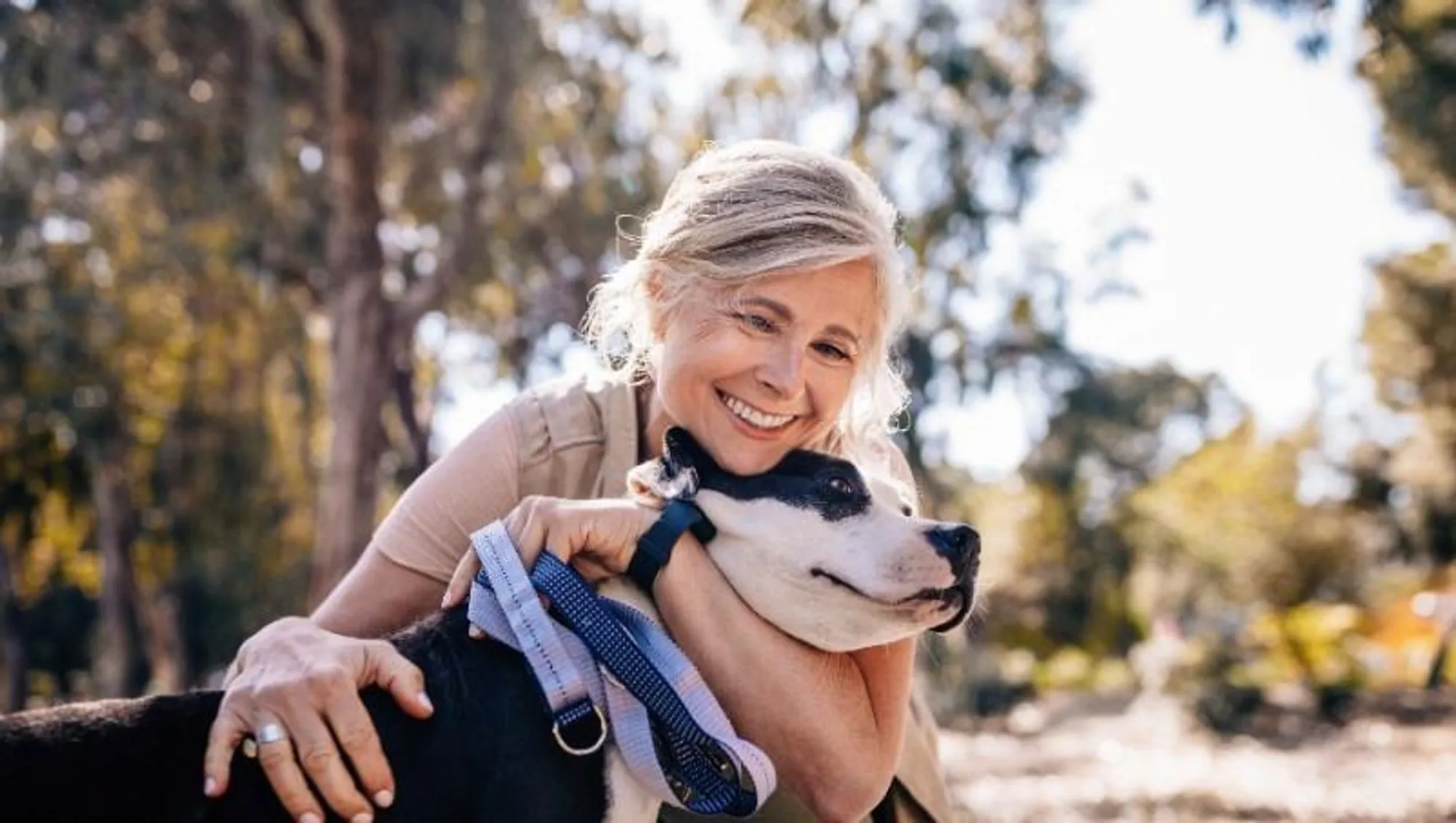 Property Slideshow image 53 of 57 | 10241 sutara way, Elk Grove, CA, 95757