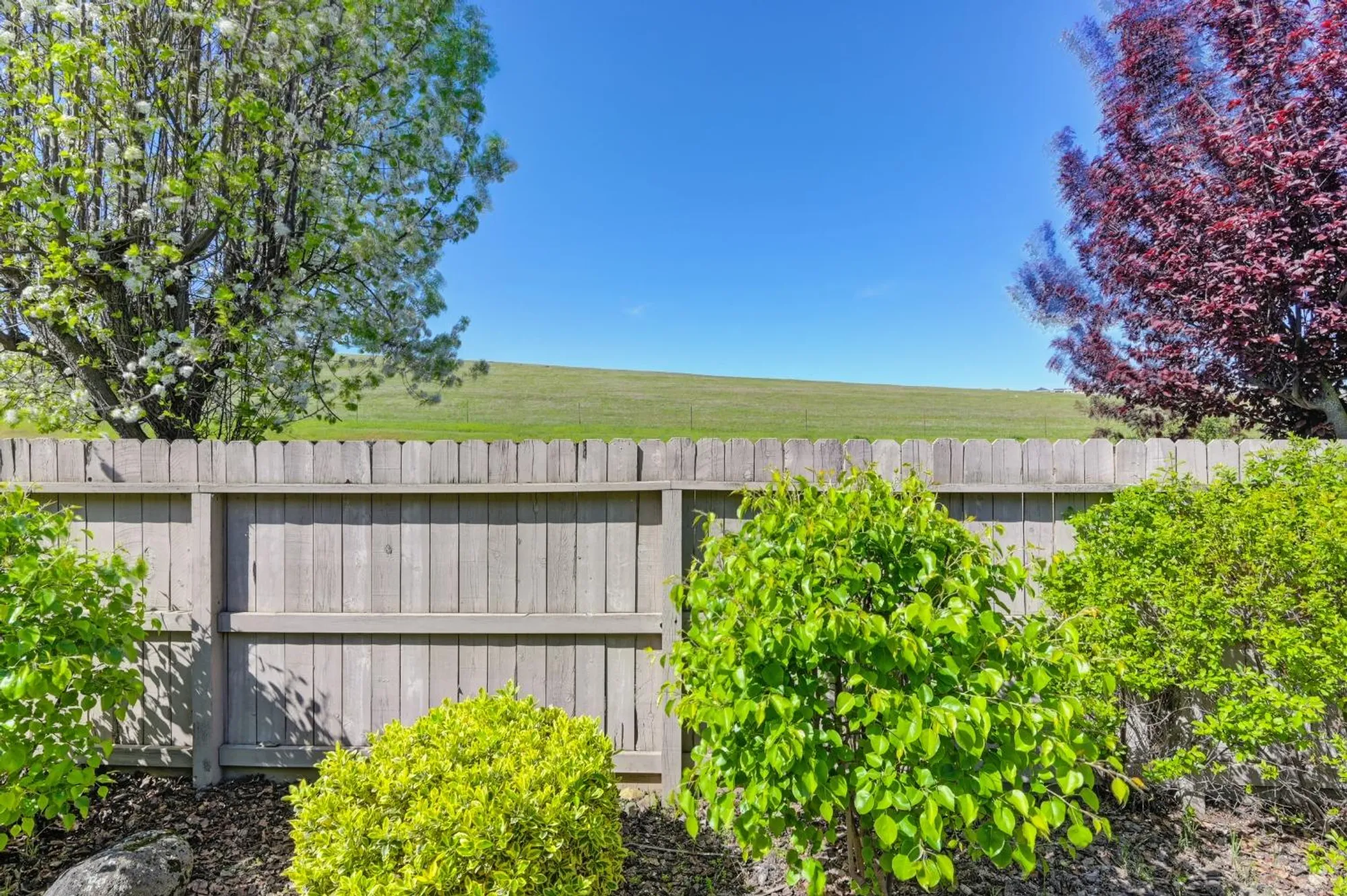 Property Slideshow image 42 of 55 | 905 richard ct, El Dorado Hills, CA, 95762