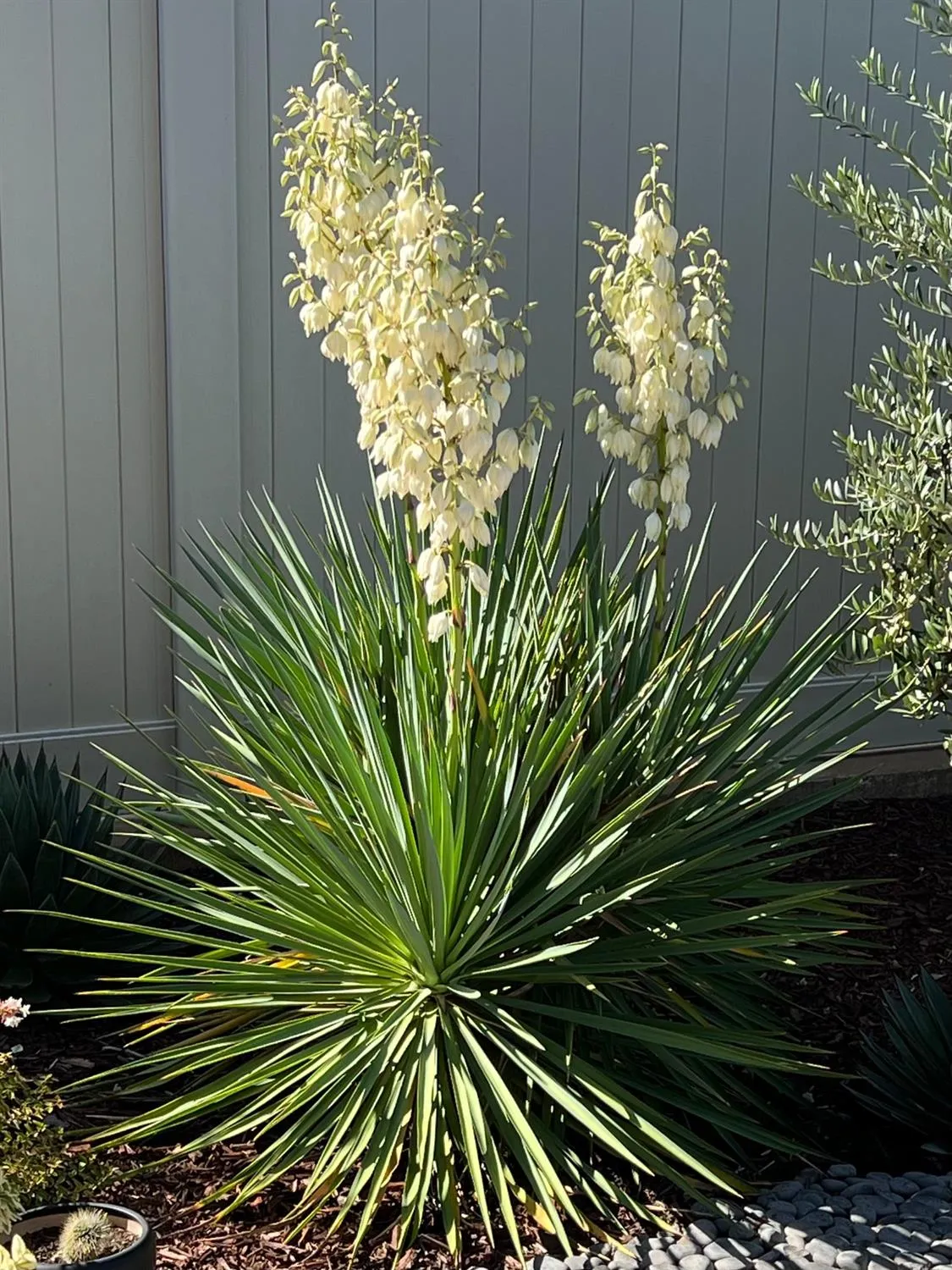 Property Slideshow image 44 of 47 | 6589 primavera ln, El Dorado Hills, CA, 95762