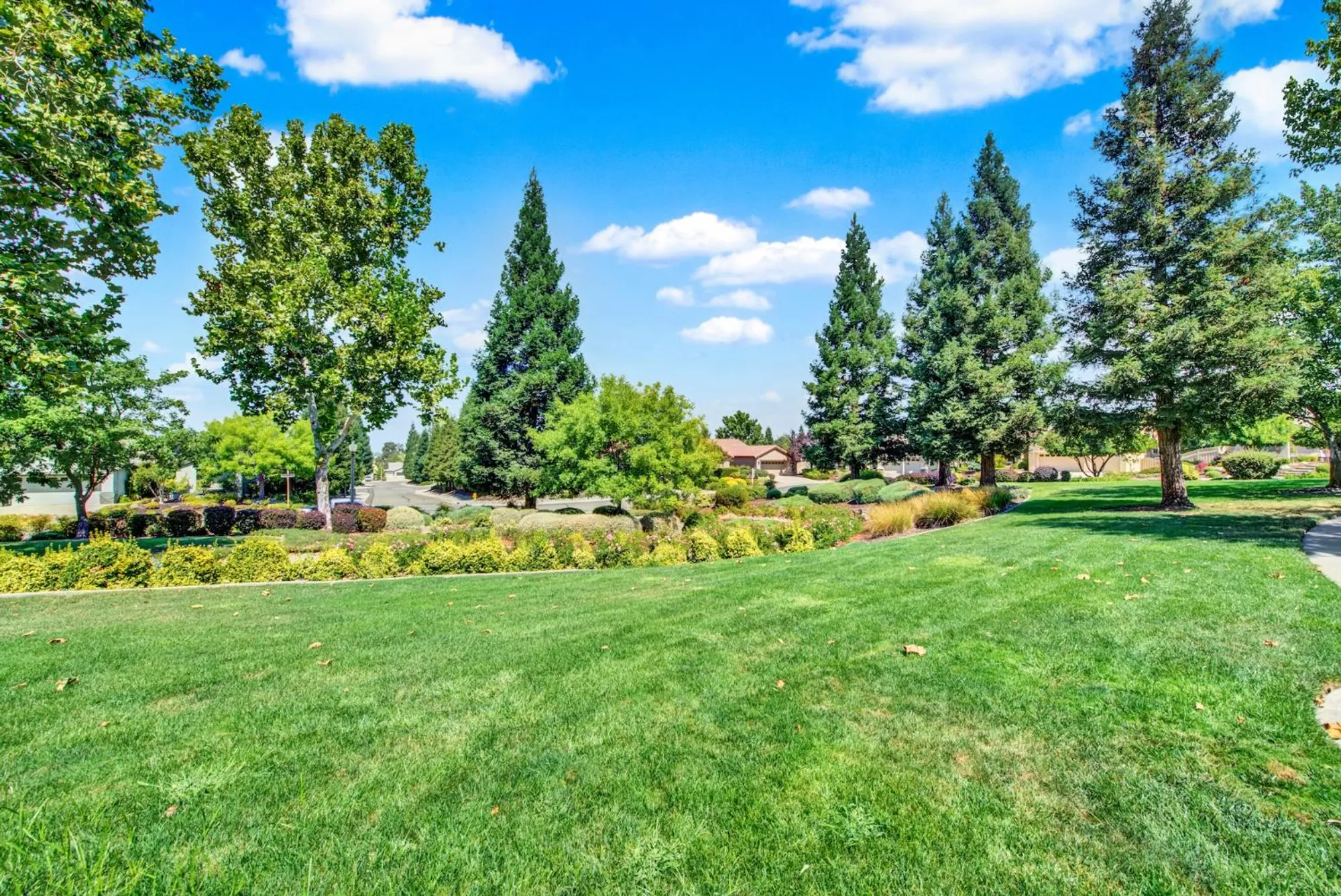 Property Slideshow image 53 of 54 | 891 slawson ln, Lincoln, CA, 95648