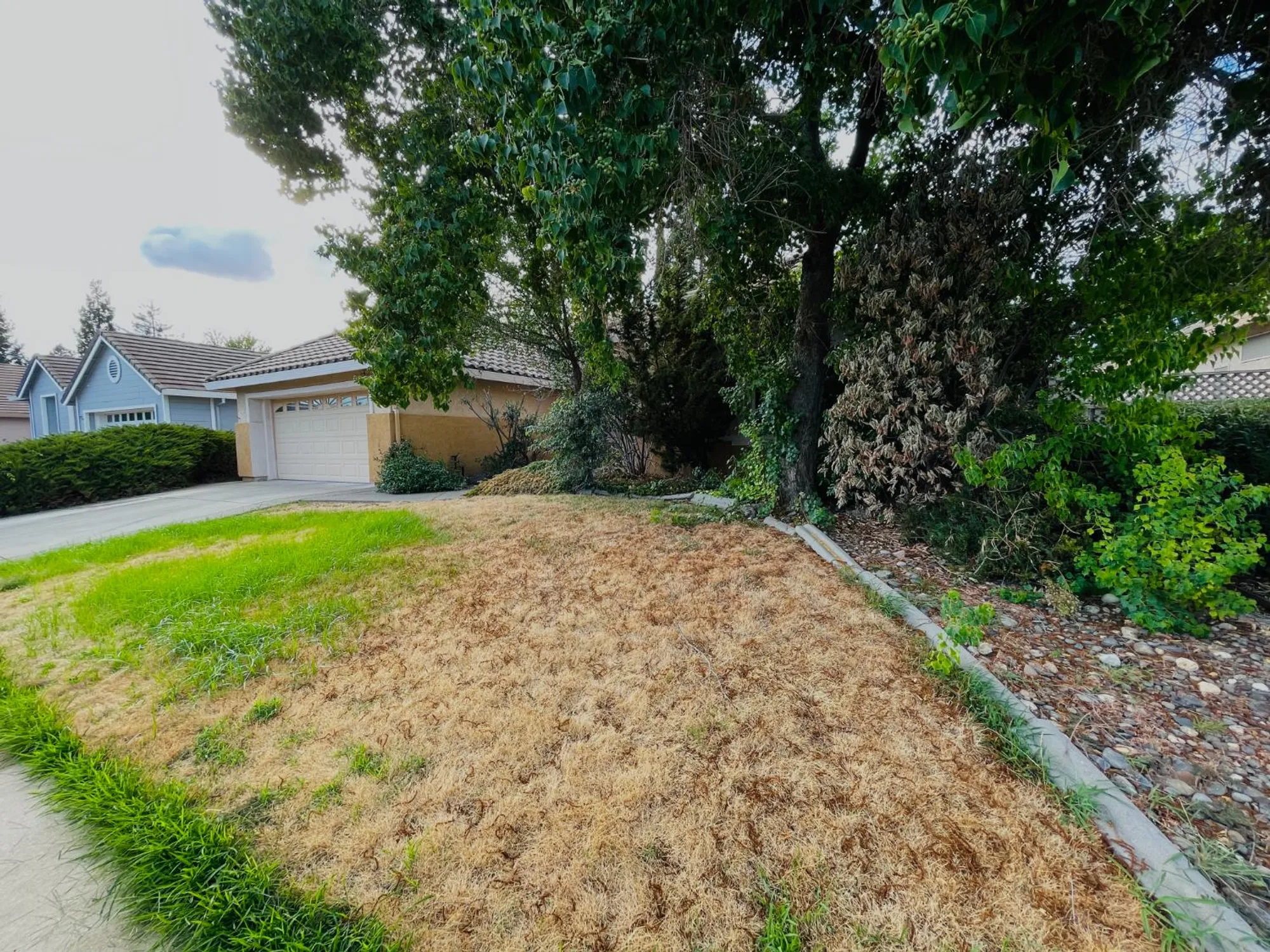 Property Slideshow image 7 of 31 | 8017 steamboat ln, Roseville, CA, 95747