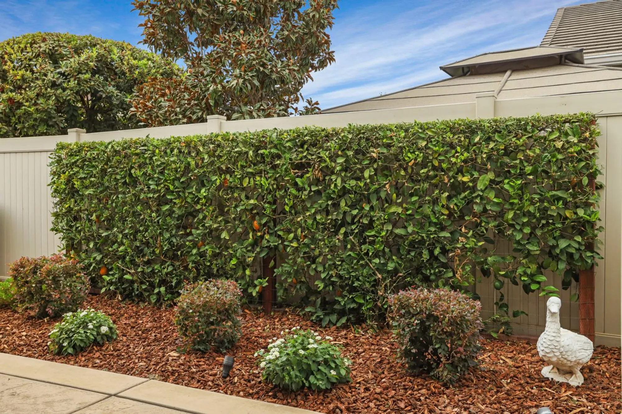 Property Slideshow image 53 of 64 | 2679 glen echo ln, Manteca, CA, 95336