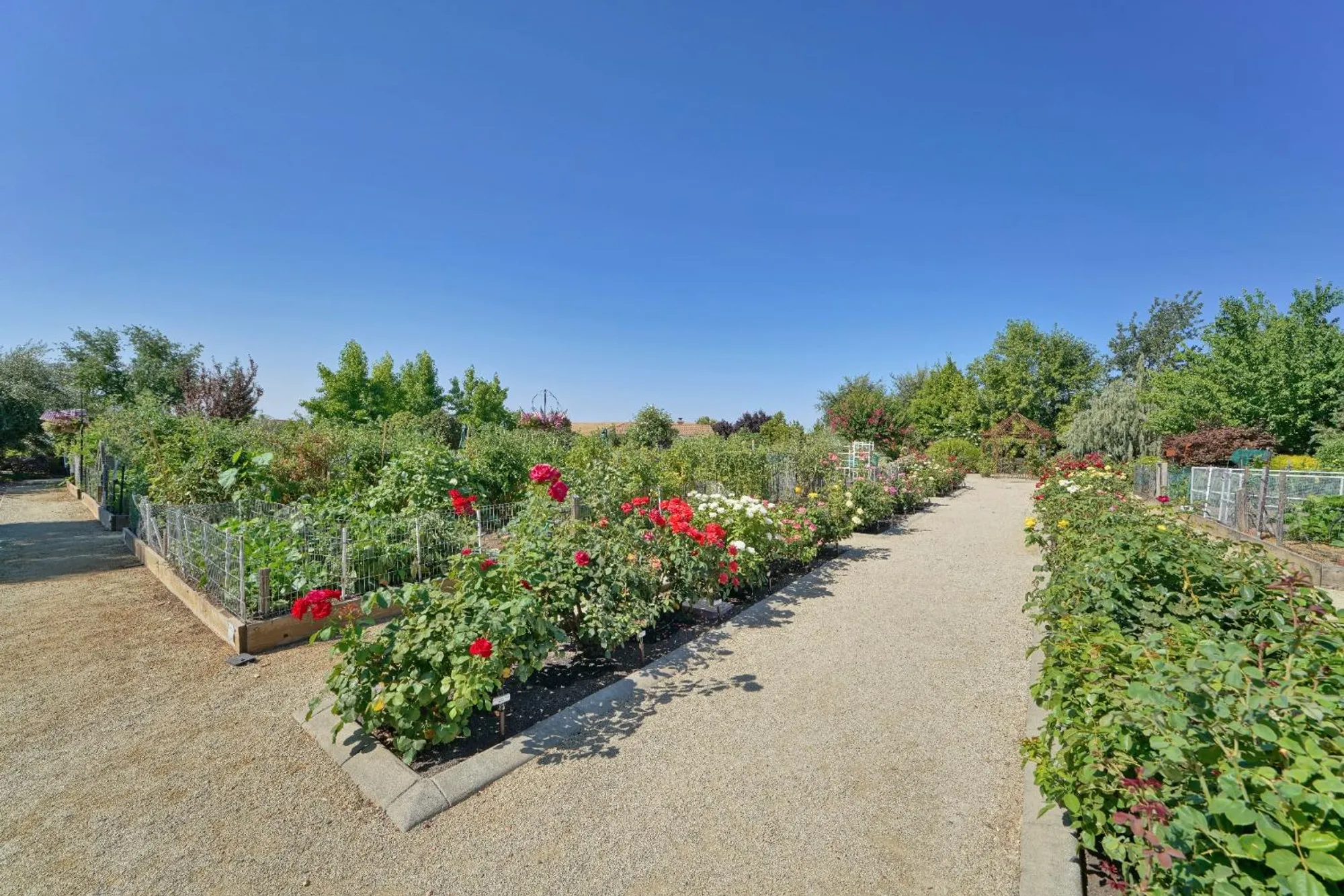 Property Slideshow image 46 of 68 | 3217 four seasons dr, El Dorado Hills, CA, 95762