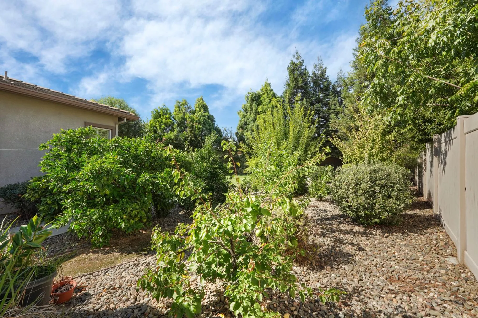 Property Slideshow image 50 of 64 | 2159 knollwood ct, Manteca, CA, 95336