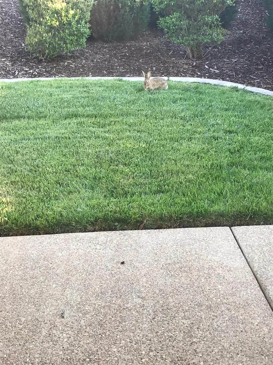 Property Slideshow image 11 of 12 | 2810 kingfisher ln, Lincoln, CA, 95648